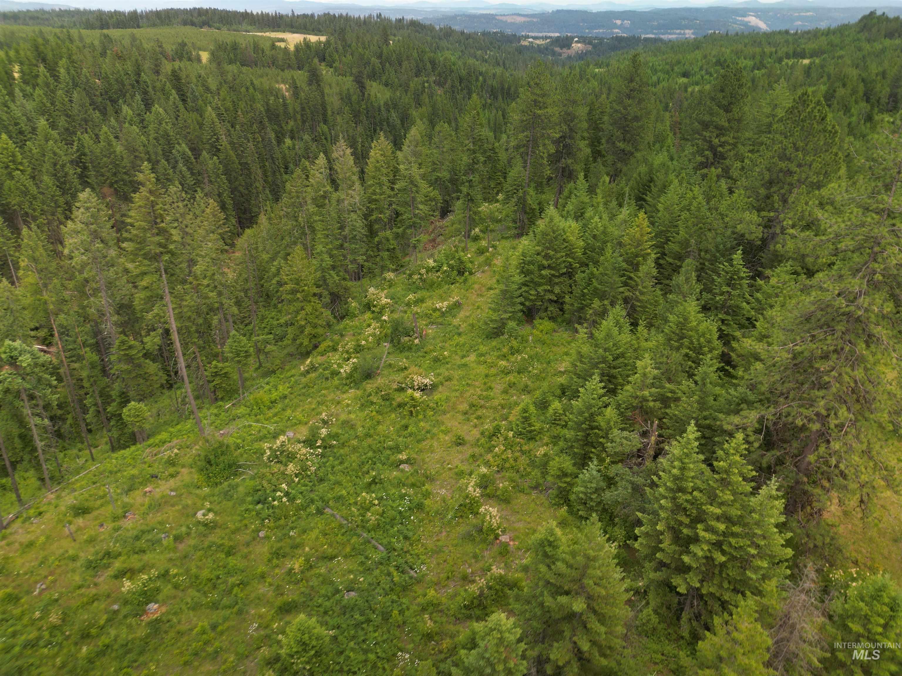 000 Middle Rd, Lenore, Idaho 83541, Land For Sale, Price $600,000,MLS 98992891