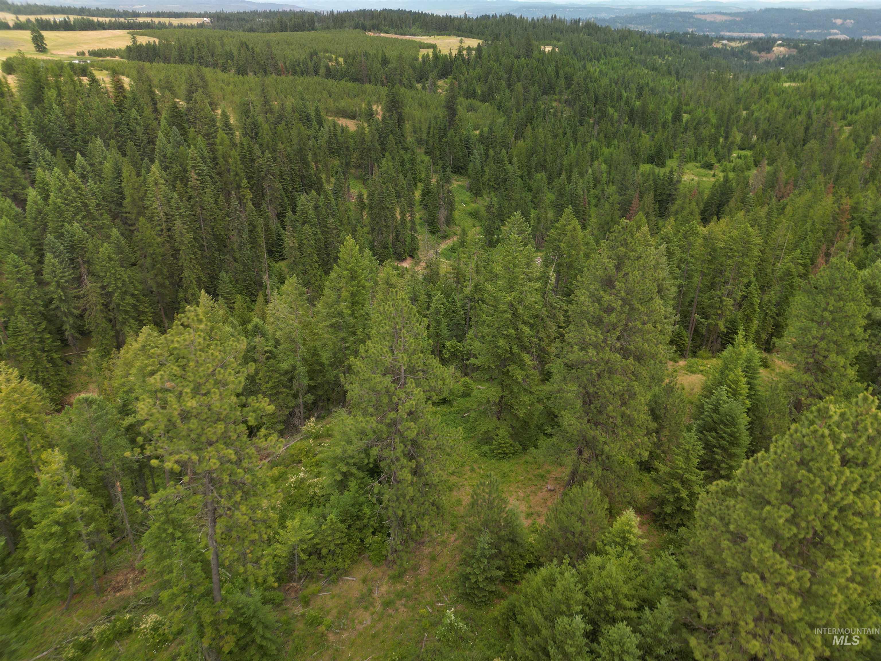 000 Middle Rd, Lenore, Idaho 83541, Land For Sale, Price $600,000,MLS 98992891