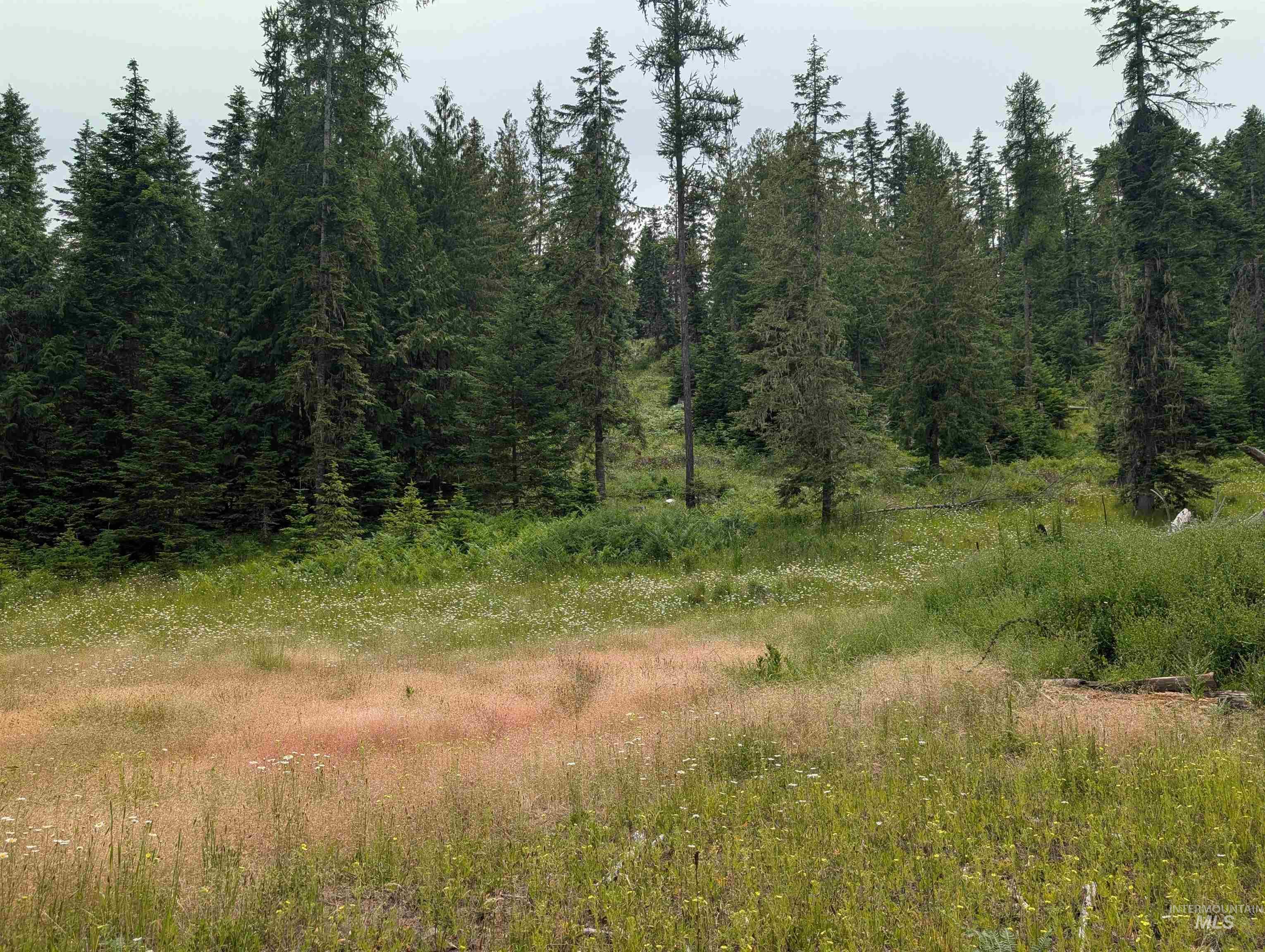 000 Middle Rd, Lenore, Idaho 83541, Land For Sale, Price $600,000,MLS 98992891