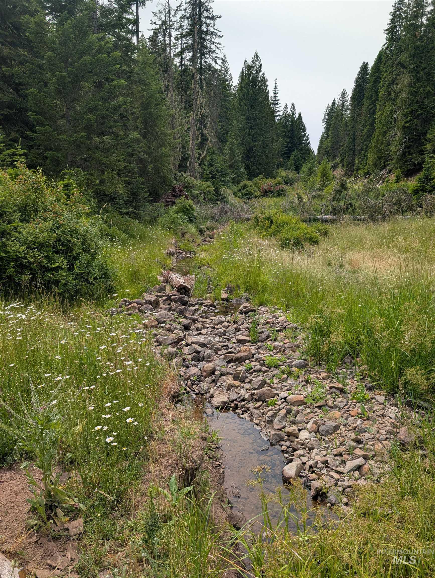 000 Middle Rd, Lenore, Idaho 83541, Land For Sale, Price $600,000,MLS 98992891