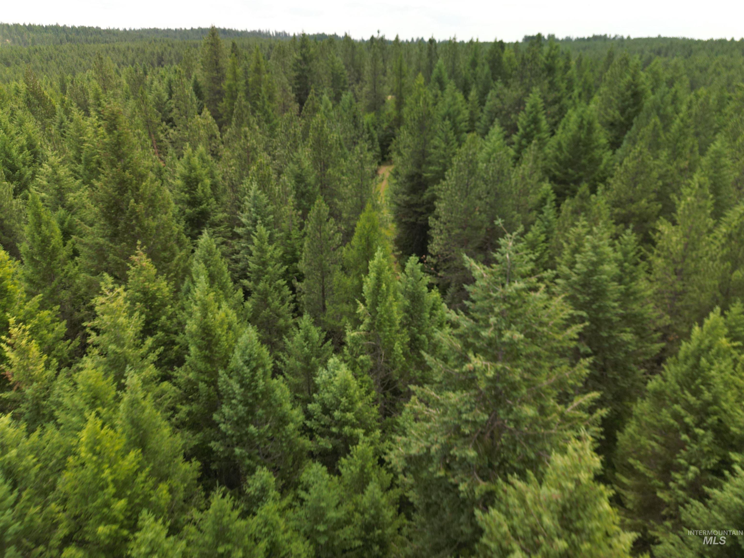 000 Middle Rd, Lenore, Idaho 83541, Land For Sale, Price $600,000,MLS 98992891