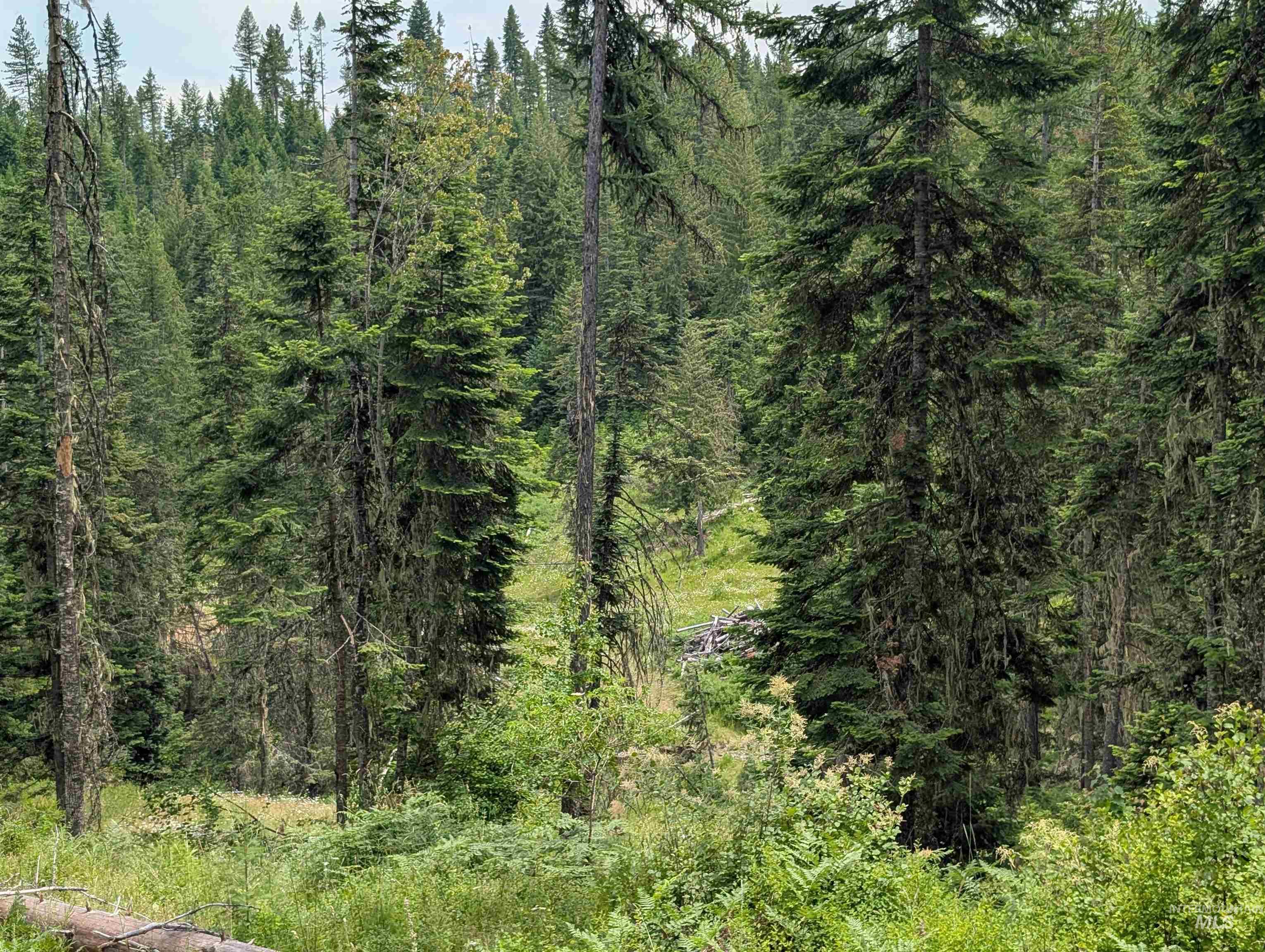 000 Middle Rd, Lenore, Idaho 83541, Land For Sale, Price $600,000,MLS 98992891