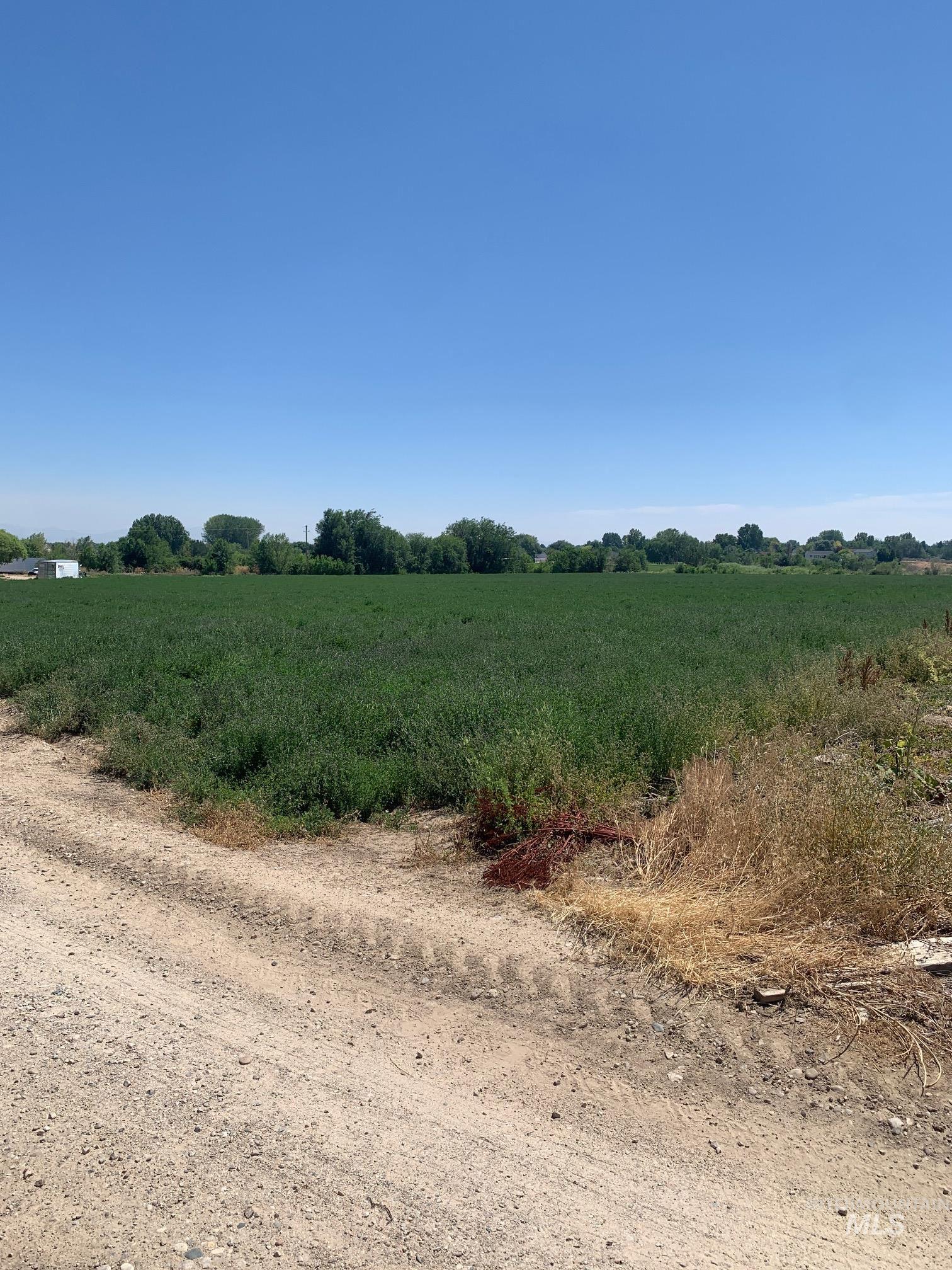 1064 N Big Tree Lane, Kuna, Idaho 83634, Land For Sale, Price $495,000,MLS 98992941
