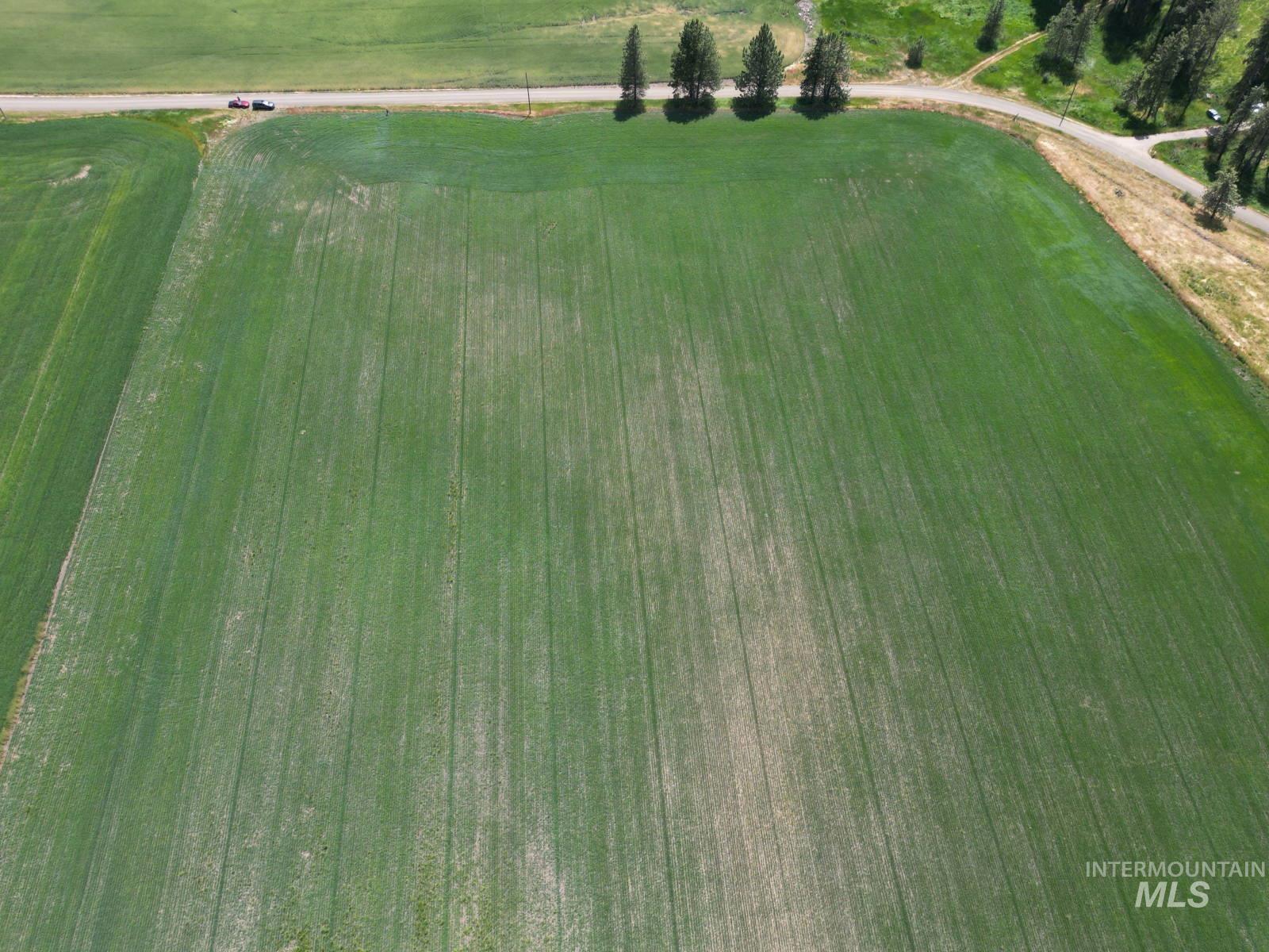 Lot 2 Herrick Road, Craigmont, Idaho 83543, Land For Sale, Price $129,900,MLS 98992963