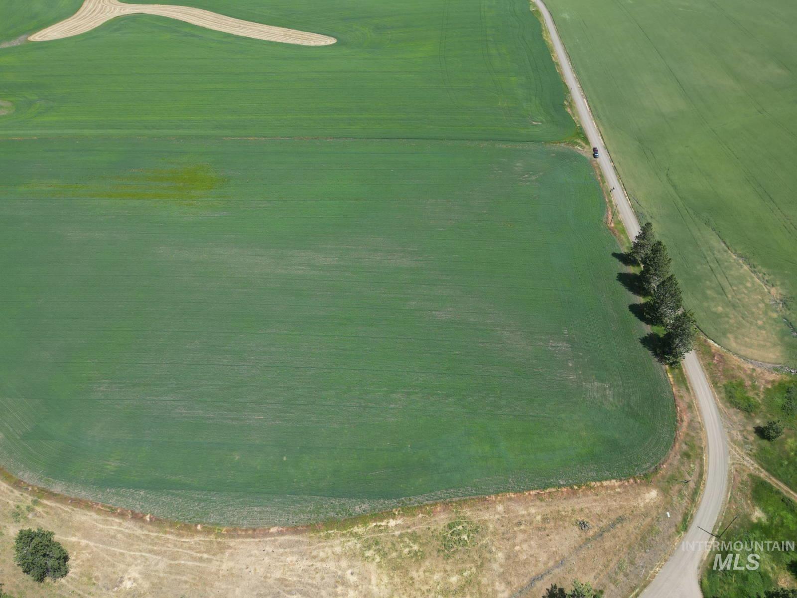 Lot 2 Herrick Road, Craigmont, Idaho 83543, Land For Sale, Price $129,900,MLS 98992963