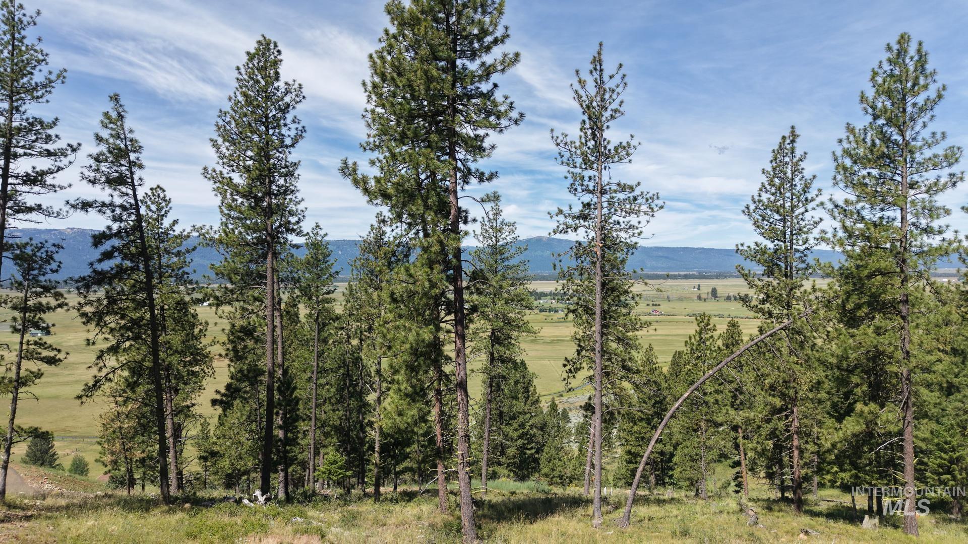 1480 Valley Heights DR, McCall, Idaho 83638, Land For Sale, Price $375,000, 98992966