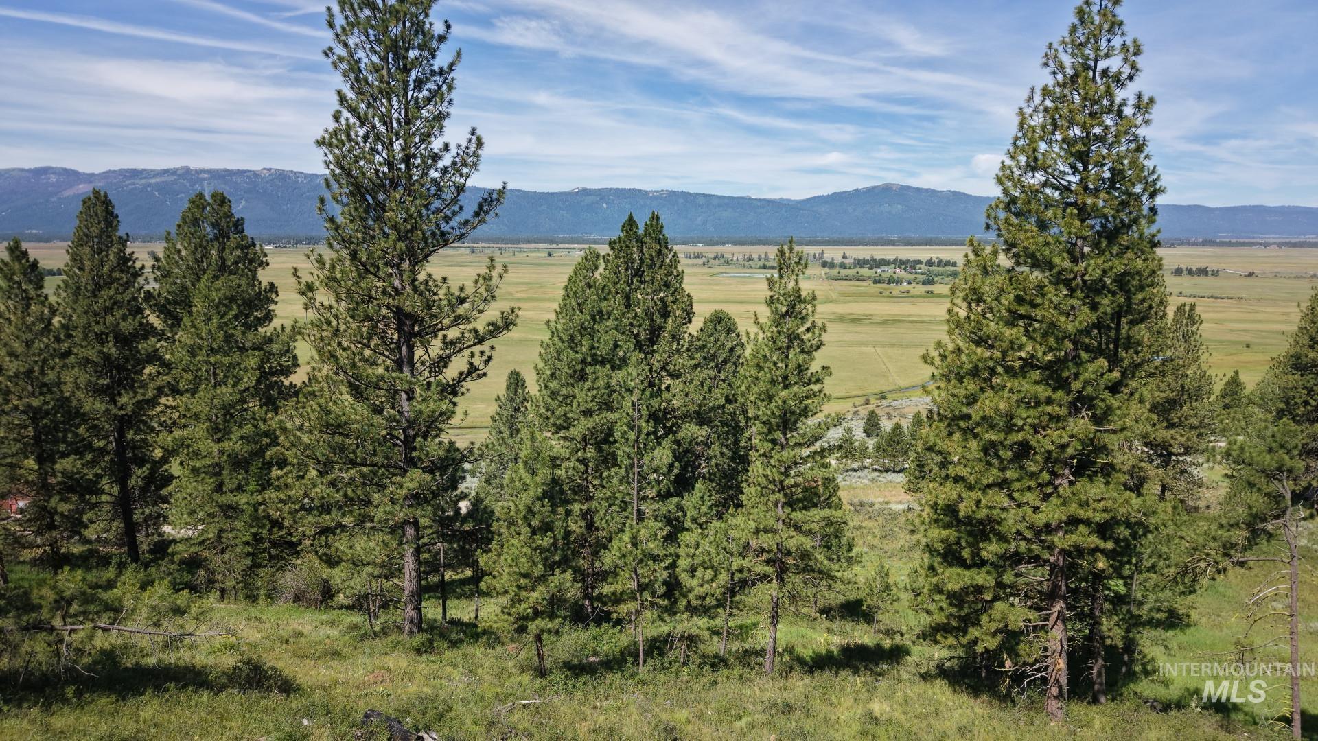 1480 Valley Heights DR, McCall, Idaho 83638, Land For Sale, Price $375,000, 98992966