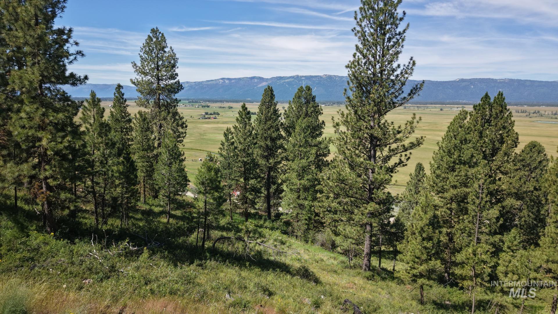 1480 Valley Heights DR, McCall, Idaho 83638, Land For Sale, Price $375,000, 98992966