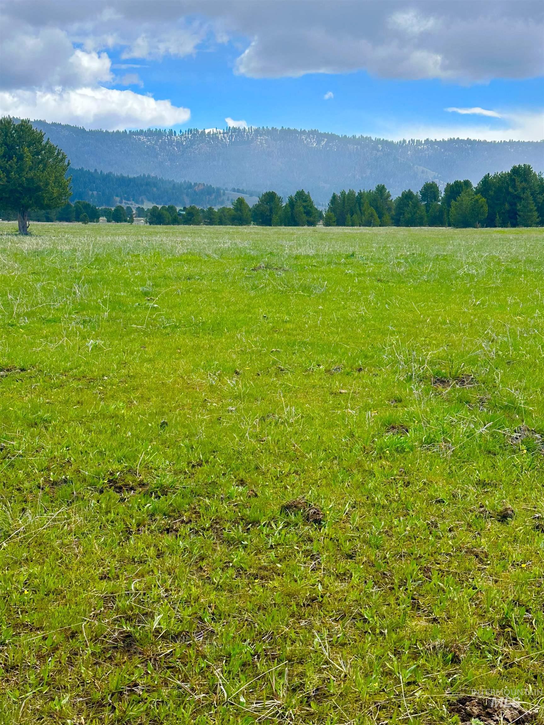 TBA HWY 55, Cascade, Idaho 83611, Land For Sale, Price $299,000, 98992978