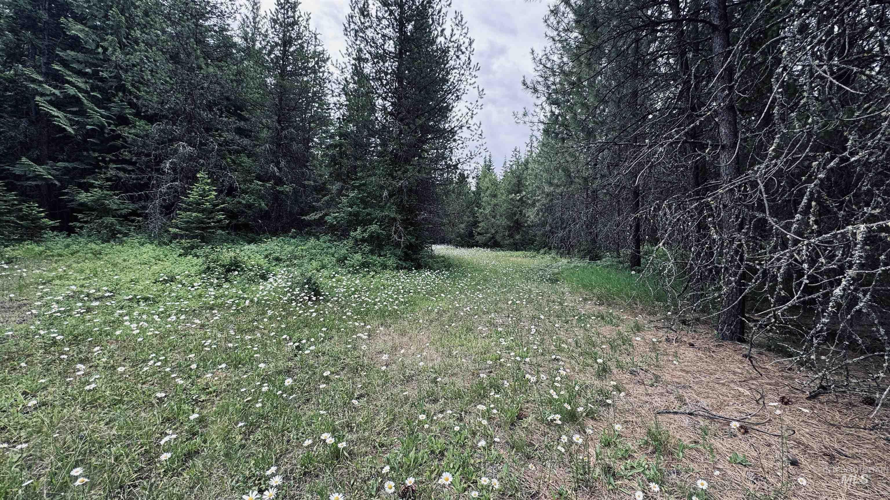 58 Bugling Elk Lane, Weippe, Idaho 83553, Land For Sale, Price $85,000, 98992987