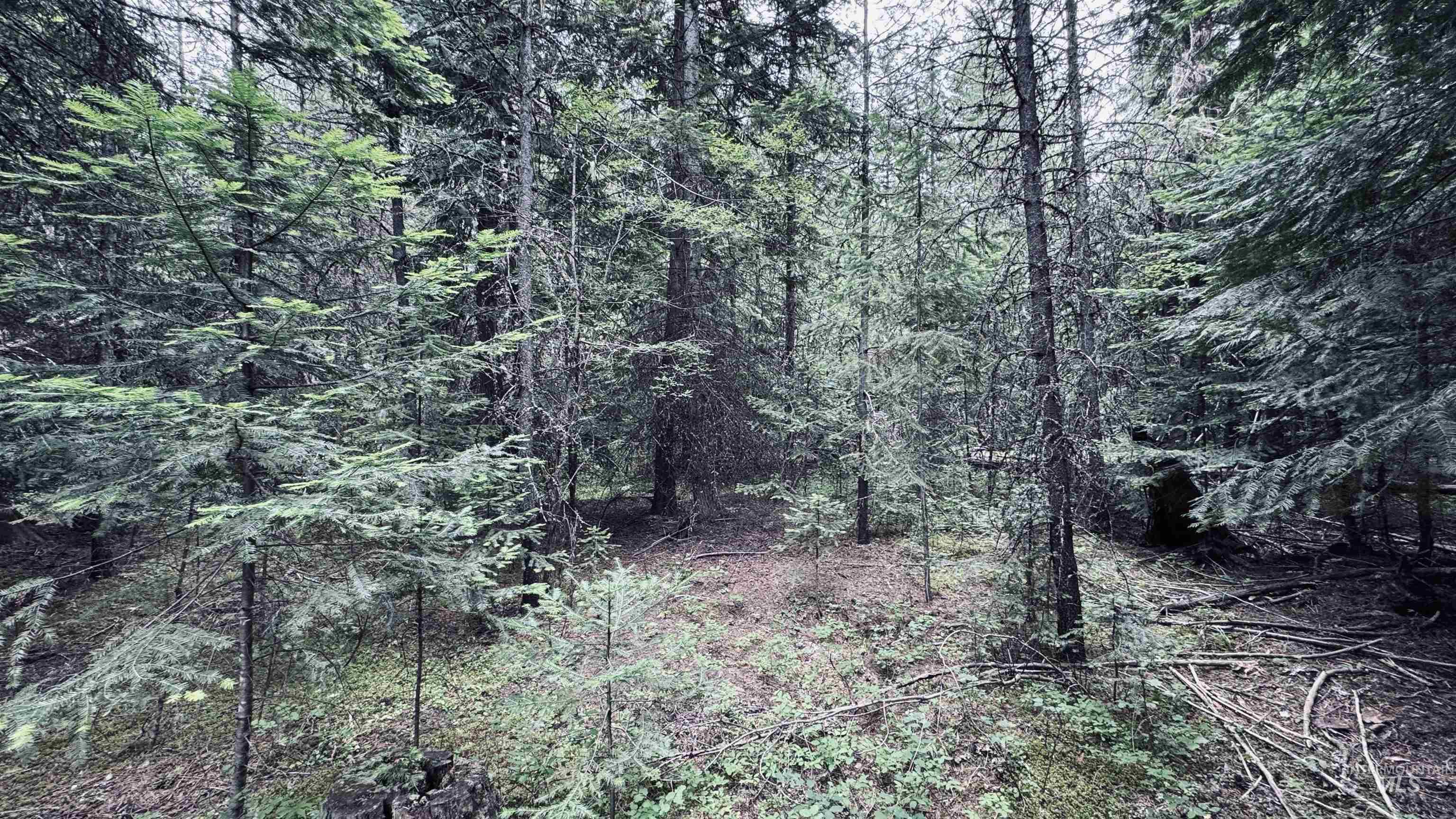 58 Bugling Elk Lane, Weippe, Idaho 83553, Land For Sale, Price $85,000, 98992987