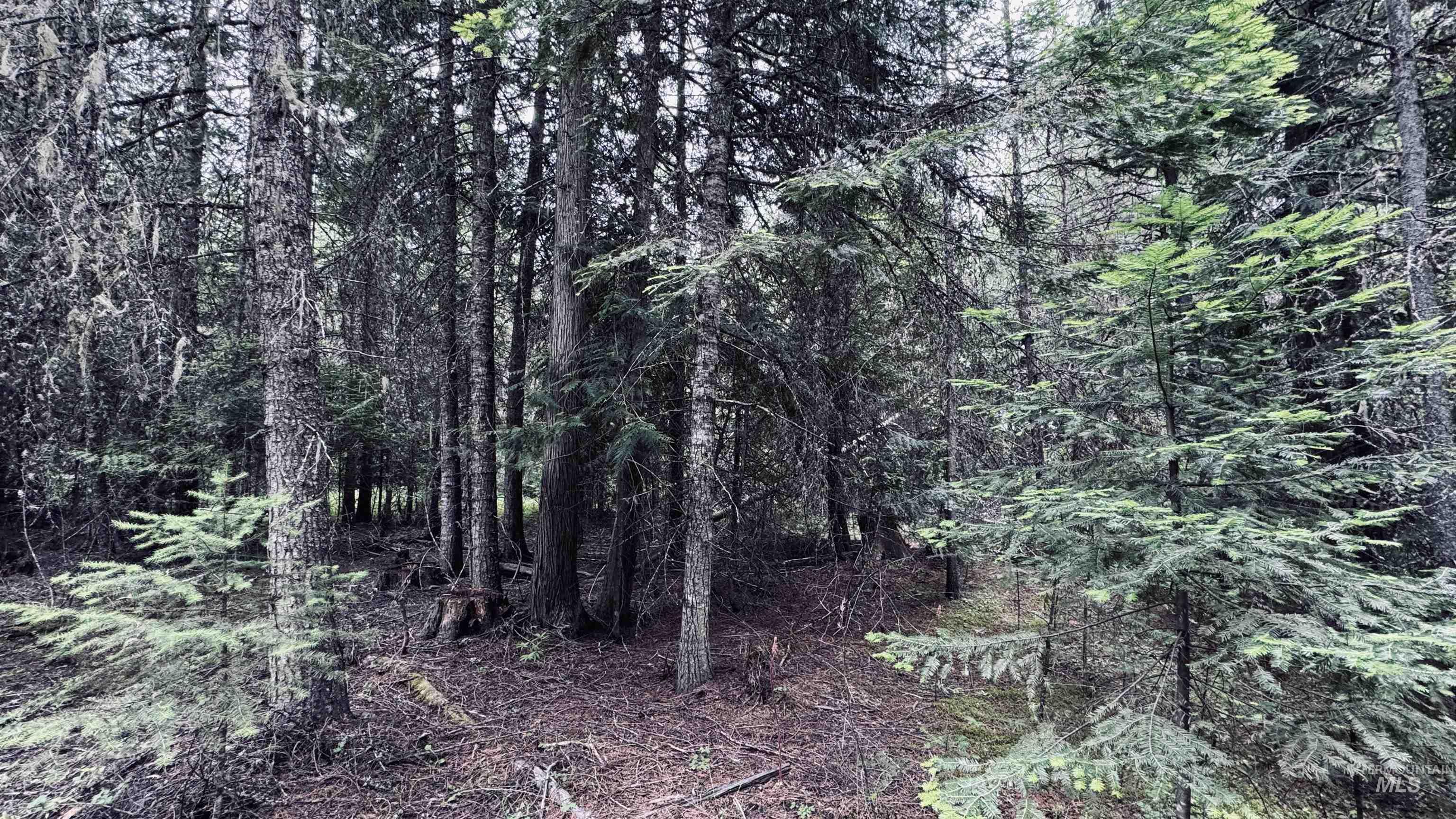 58 Bugling Elk Lane, Weippe, Idaho 83553, Land For Sale, Price $85,000, 98992987
