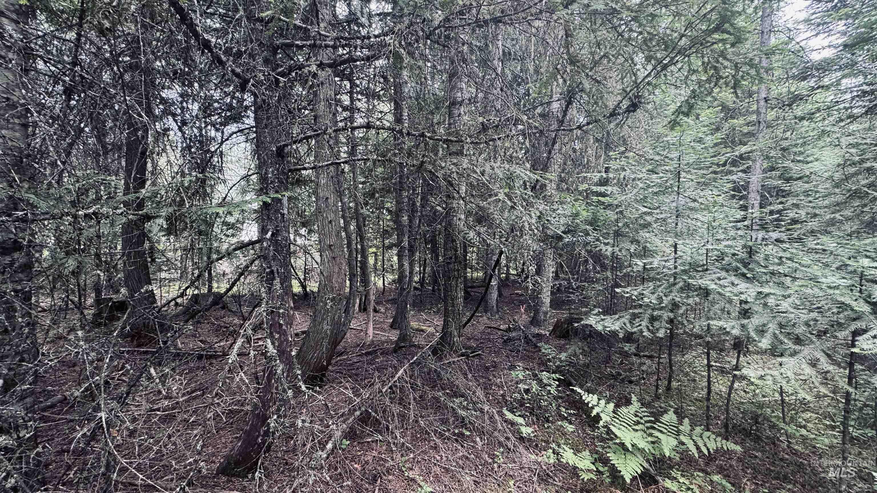 58 Bugling Elk Lane, Weippe, Idaho 83553, Land For Sale, Price $85,000, 98992987
