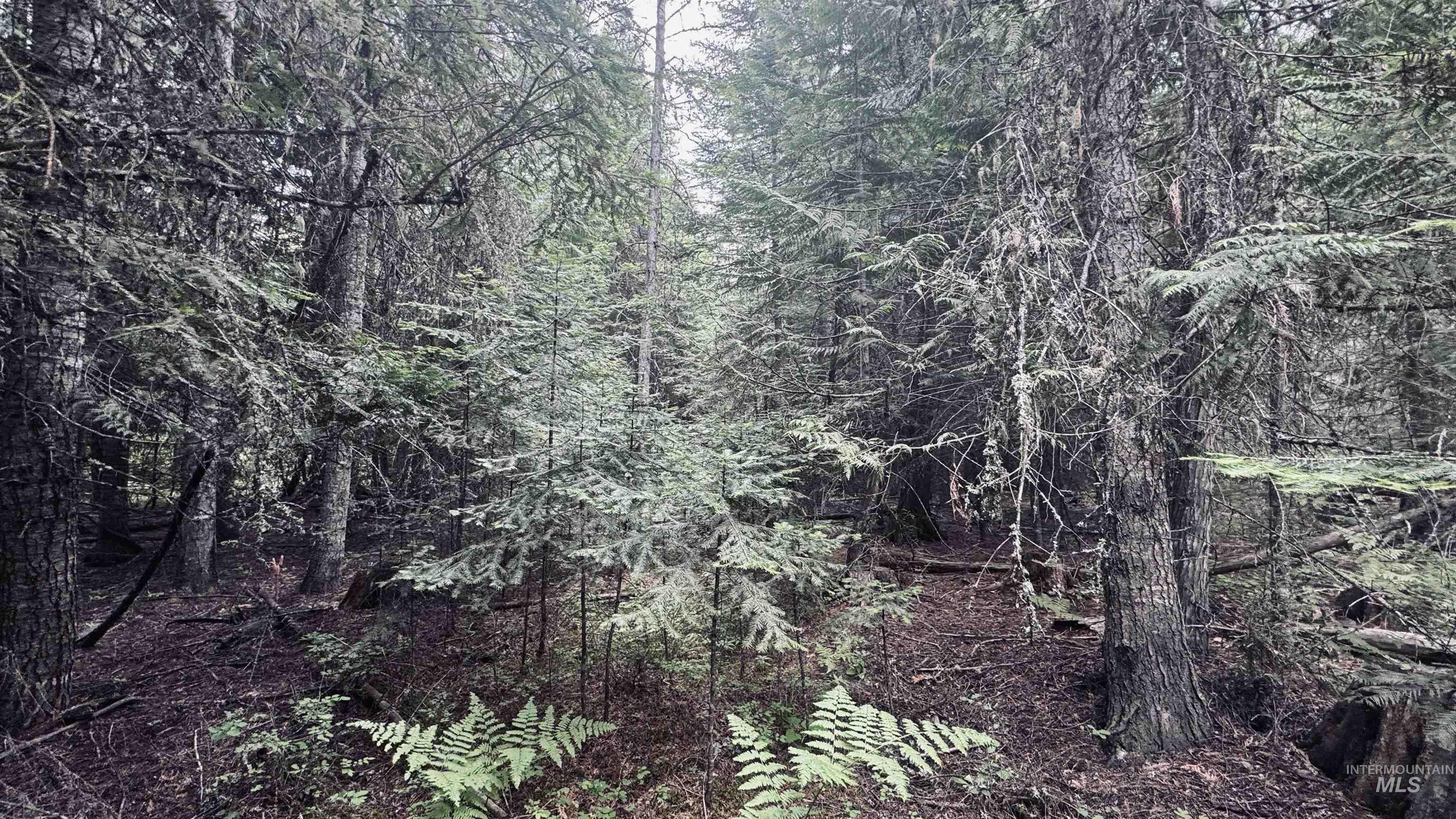 58 Bugling Elk Lane, Weippe, Idaho 83553, Land For Sale, Price $85,000, 98992987