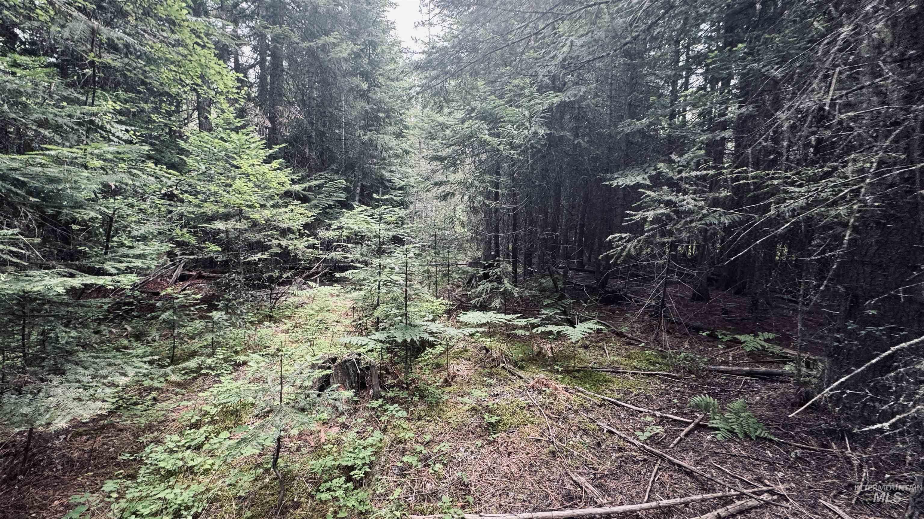 58 Bugling Elk Lane, Weippe, Idaho 83553, Land For Sale, Price $85,000, 98992987