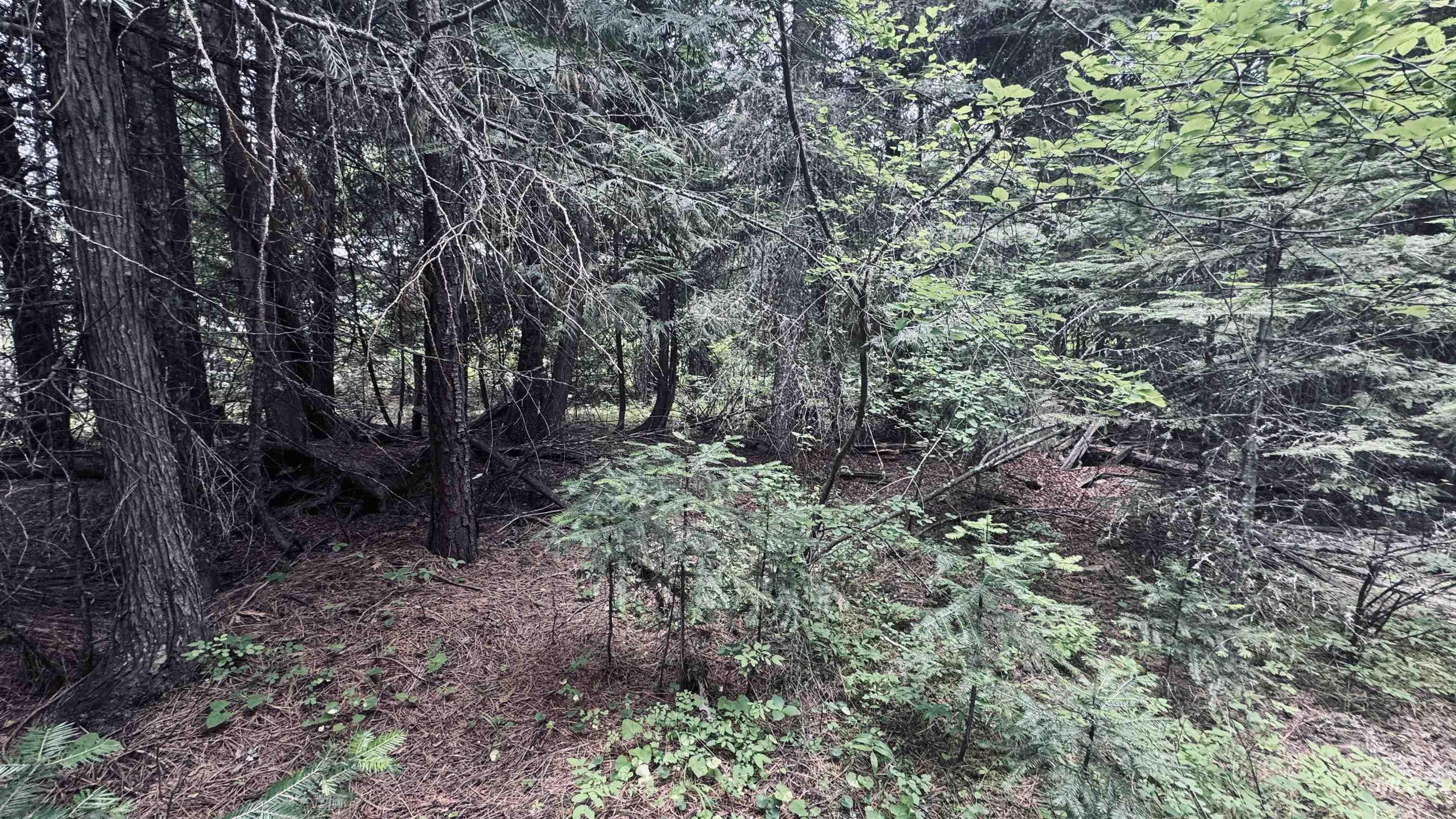 58 Bugling Elk Lane, Weippe, Idaho 83553, Land For Sale, Price $85,000, 98992987