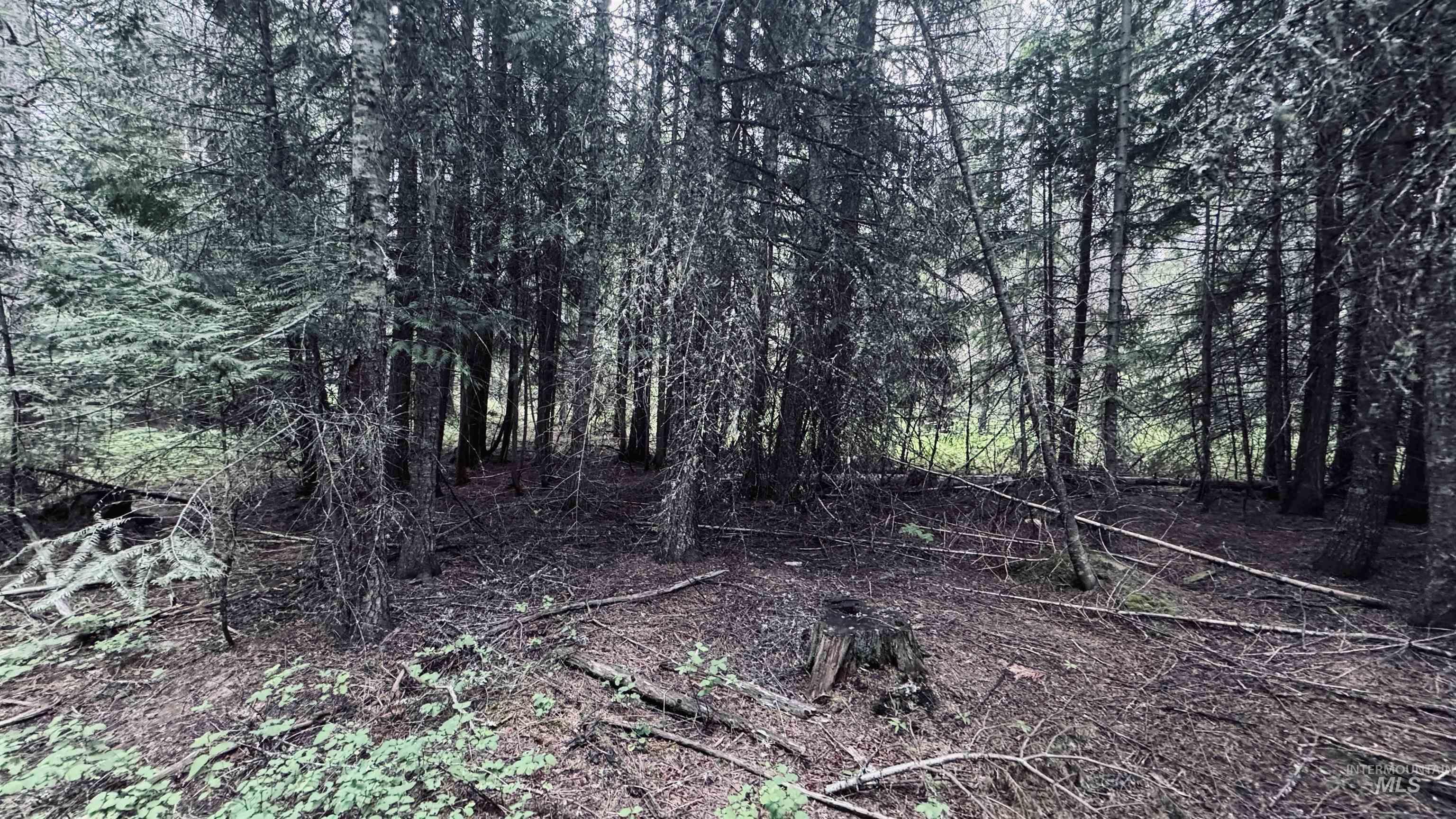 58 Bugling Elk Lane, Weippe, Idaho 83553, Land For Sale, Price $85,000, 98992987