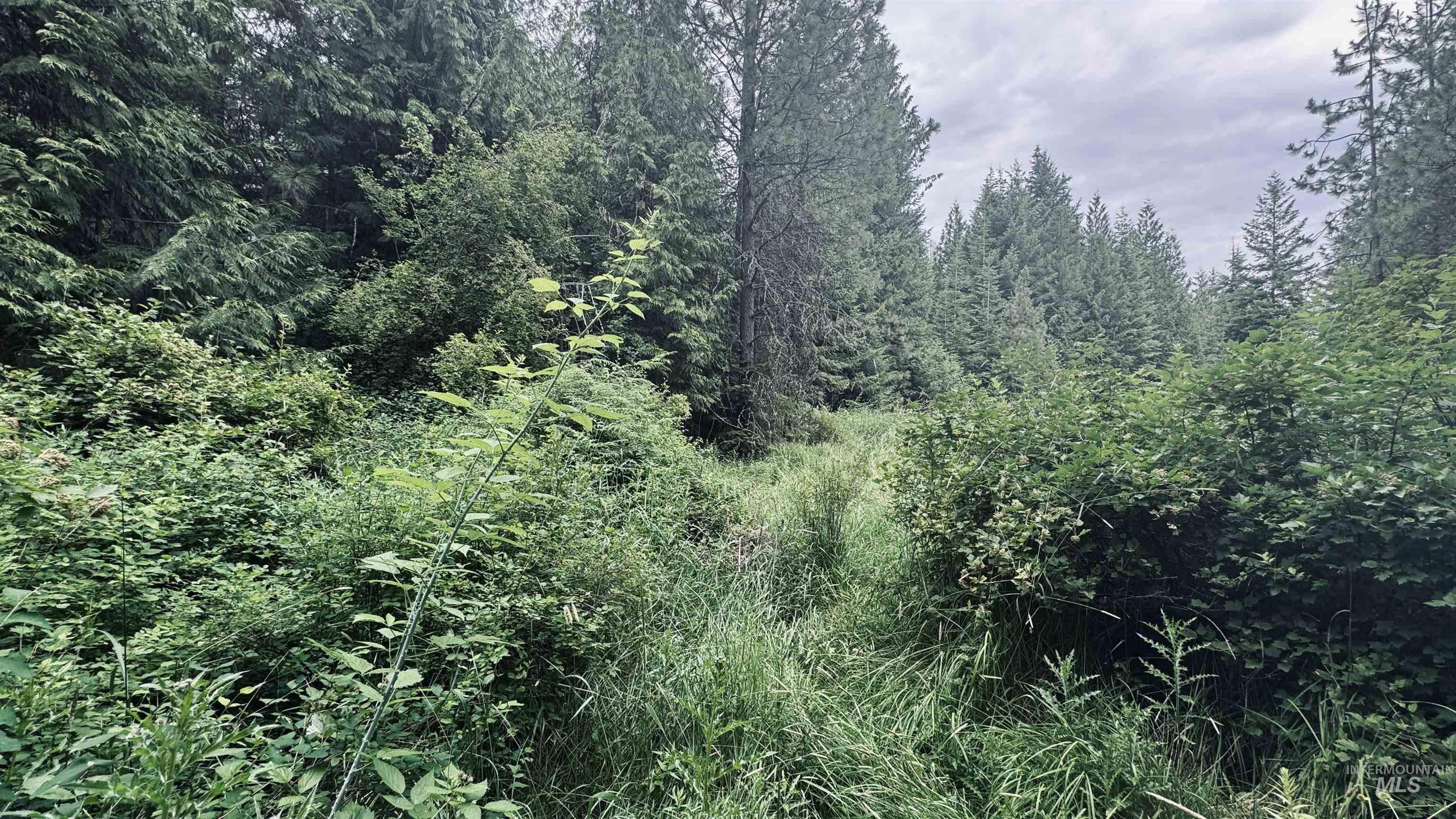 58 Bugling Elk Lane, Weippe, Idaho 83553, Land For Sale, Price $85,000, 98992987