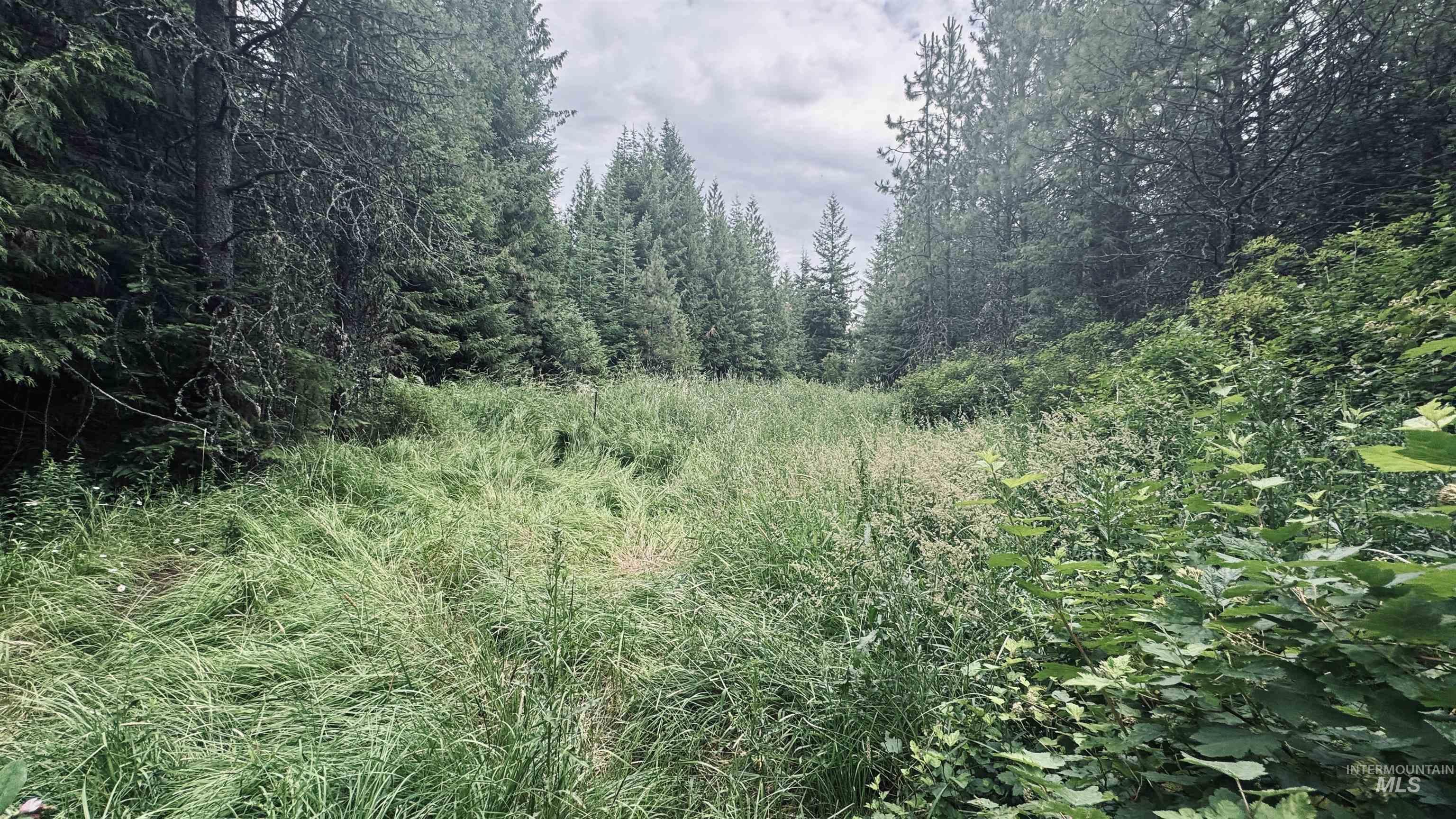 58 Bugling Elk Lane, Weippe, Idaho 83553, Land For Sale, Price $85,000, 98992987