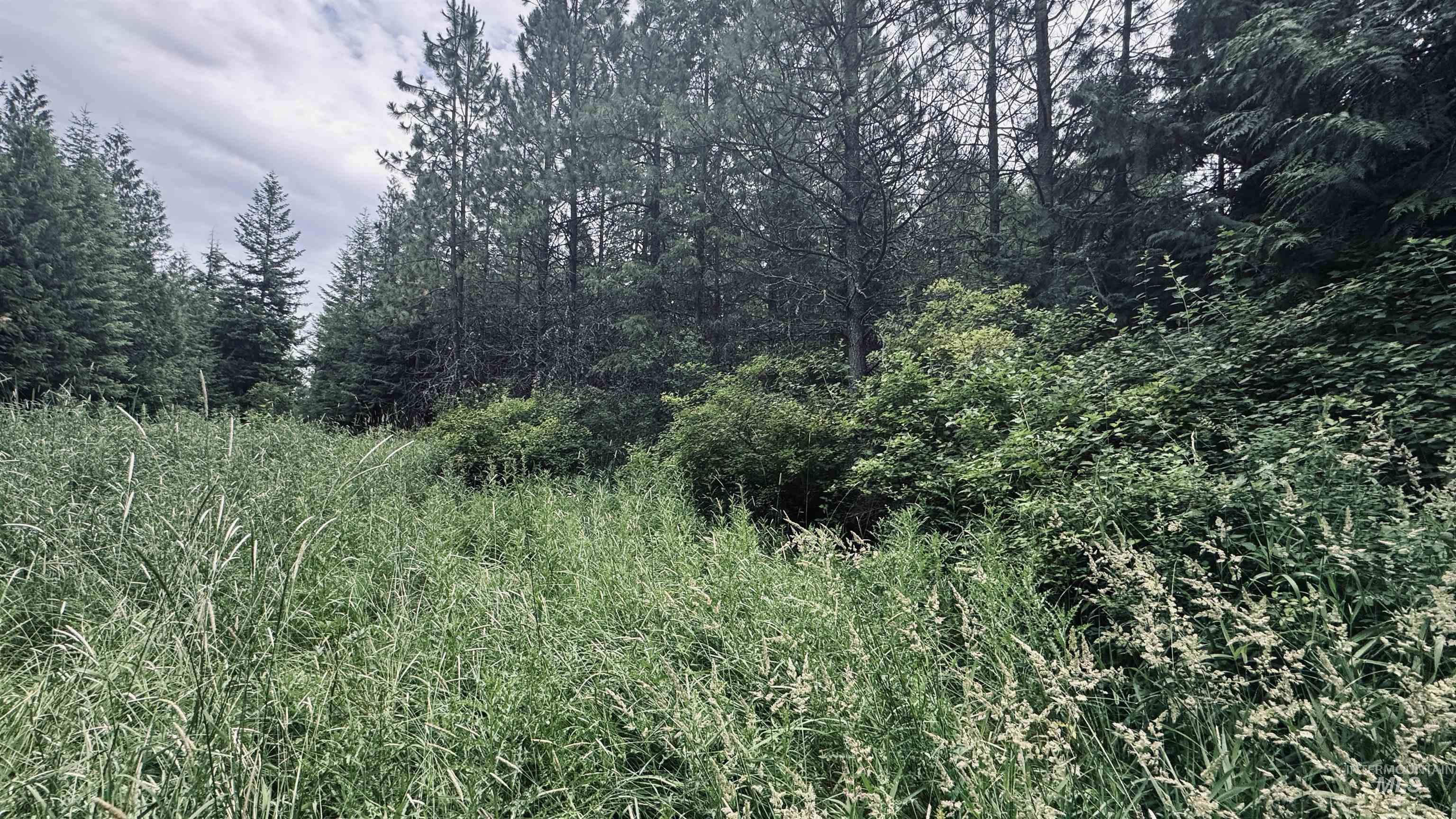 58 Bugling Elk Lane, Weippe, Idaho 83553, Land For Sale, Price $85,000, 98992987