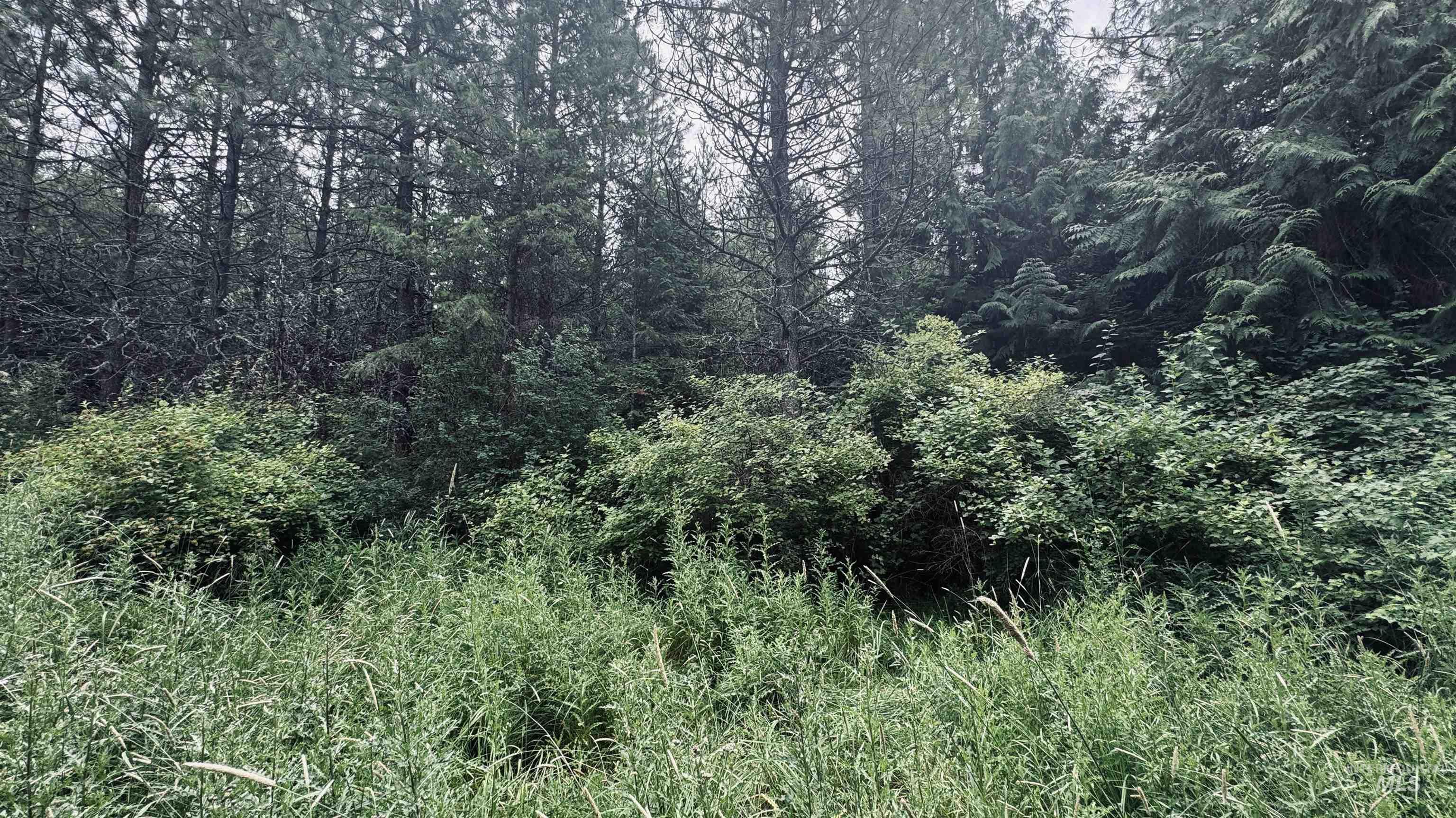 58 Bugling Elk Lane, Weippe, Idaho 83553, Land For Sale, Price $85,000, 98992987