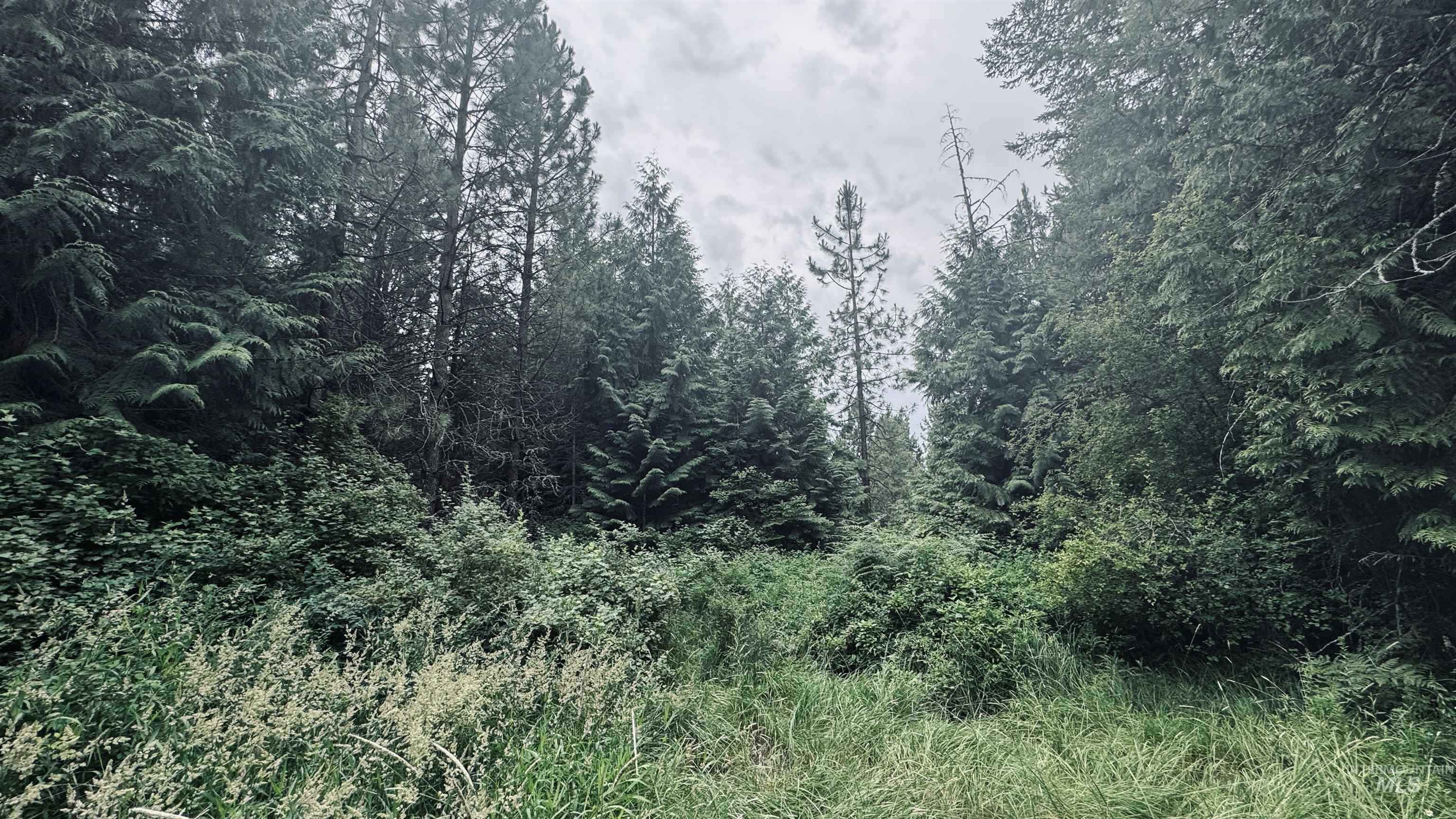 58 Bugling Elk Lane, Weippe, Idaho 83553, Land For Sale, Price $85,000, 98992987