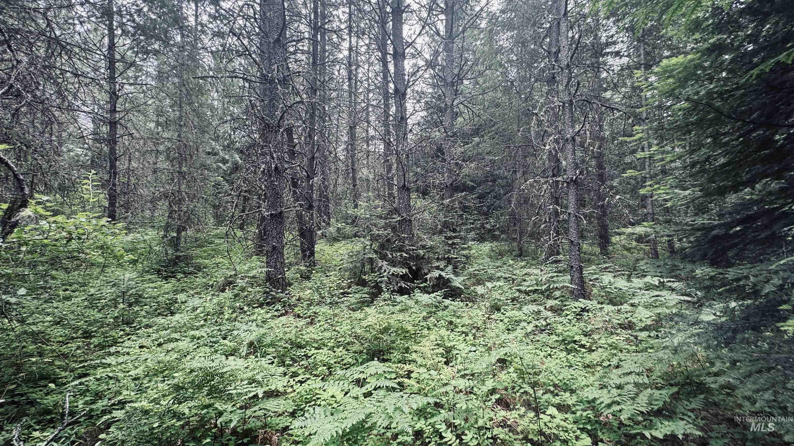 58 Bugling Elk Lane, Weippe, Idaho 83553, Land For Sale, Price $85,000, 98992987