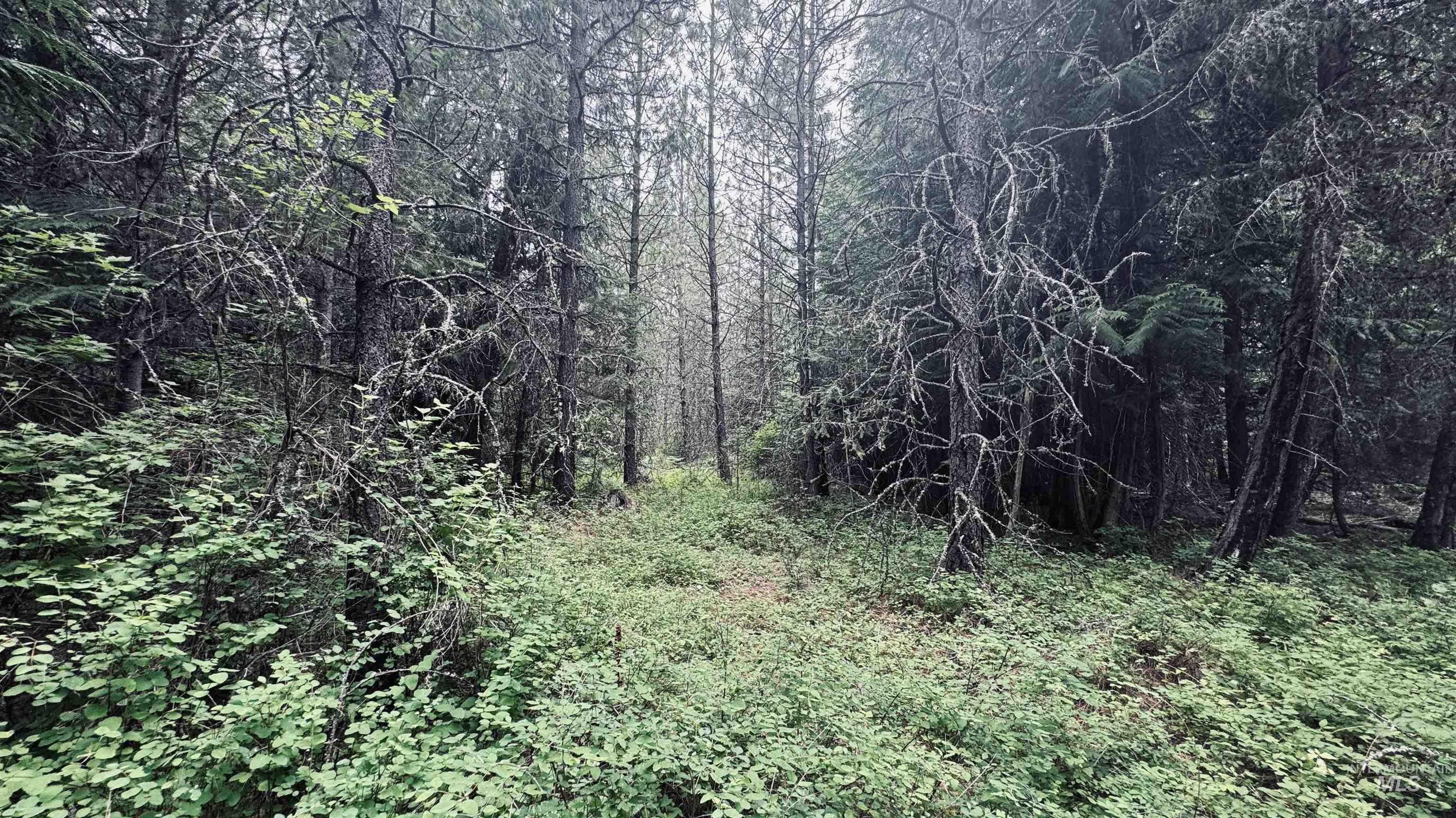 58 Bugling Elk Lane, Weippe, Idaho 83553, Land For Sale, Price $85,000, 98992987