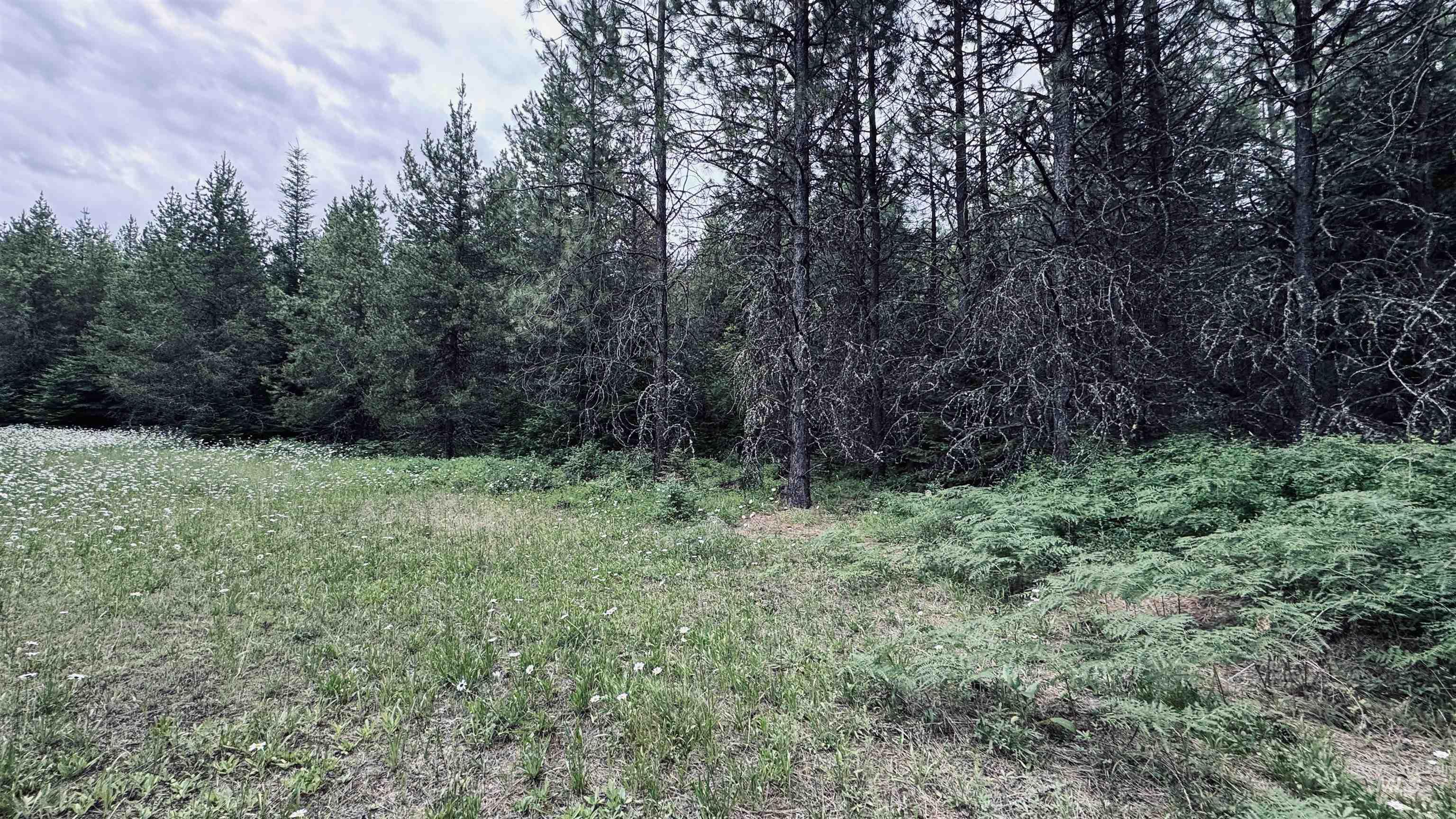 58 Bugling Elk Lane, Weippe, Idaho 83553, Land For Sale, Price $85,000, 98992987