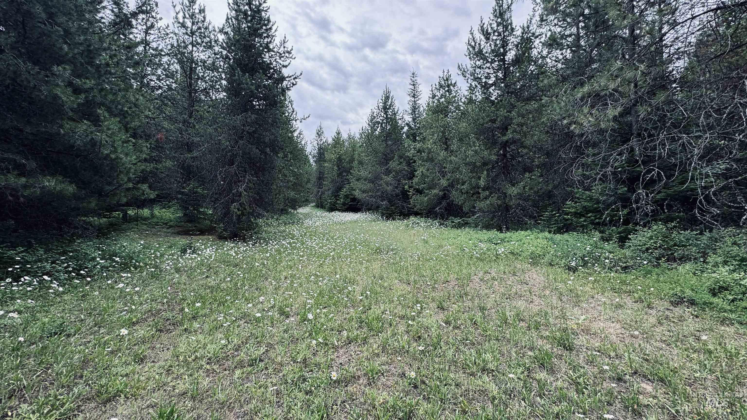 58 Bugling Elk Lane, Weippe, Idaho 83553, Land For Sale, Price $85,000, 98992987
