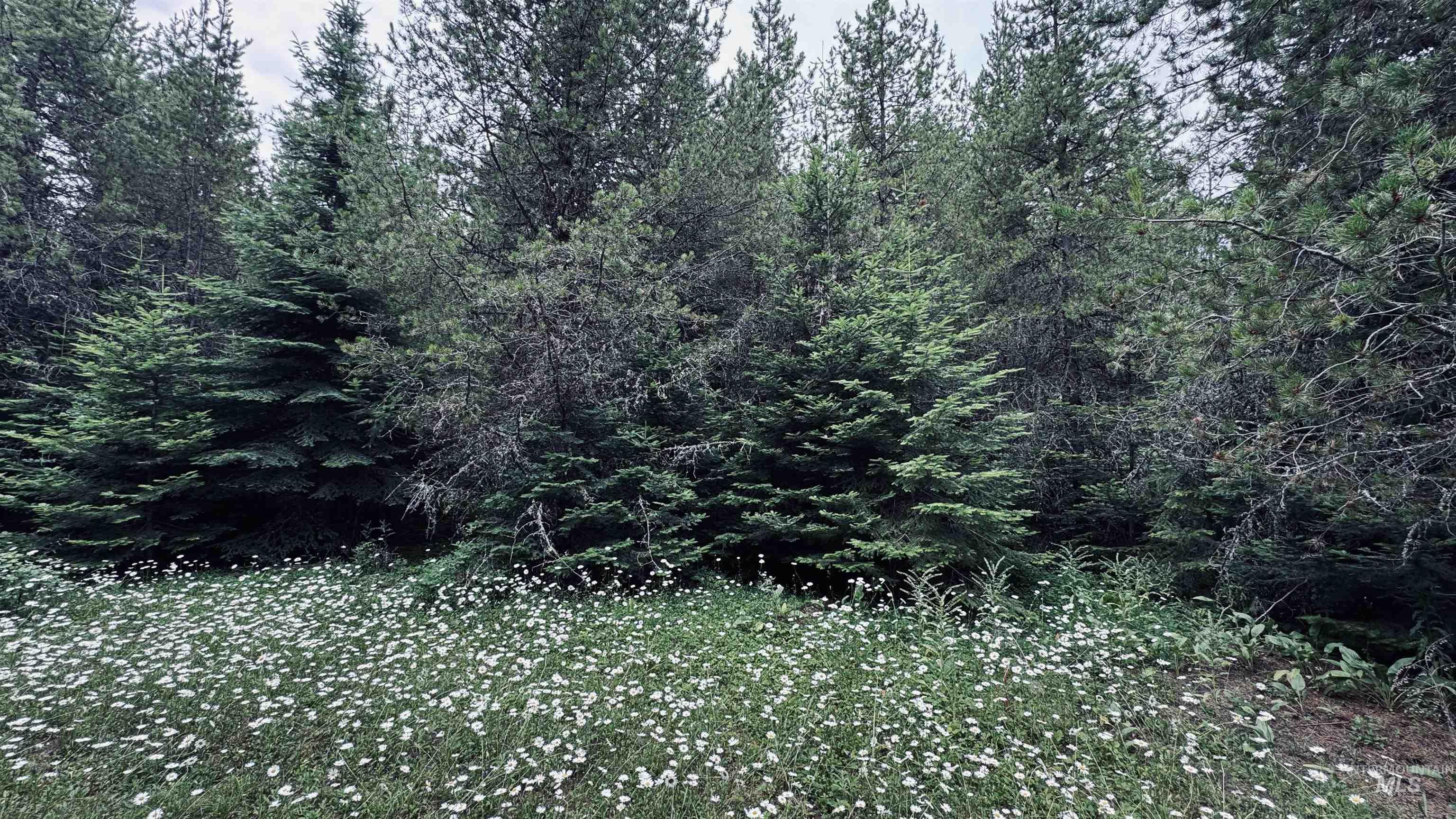 58 Bugling Elk Lane, Weippe, Idaho 83553, Land For Sale, Price $85,000, 98992987