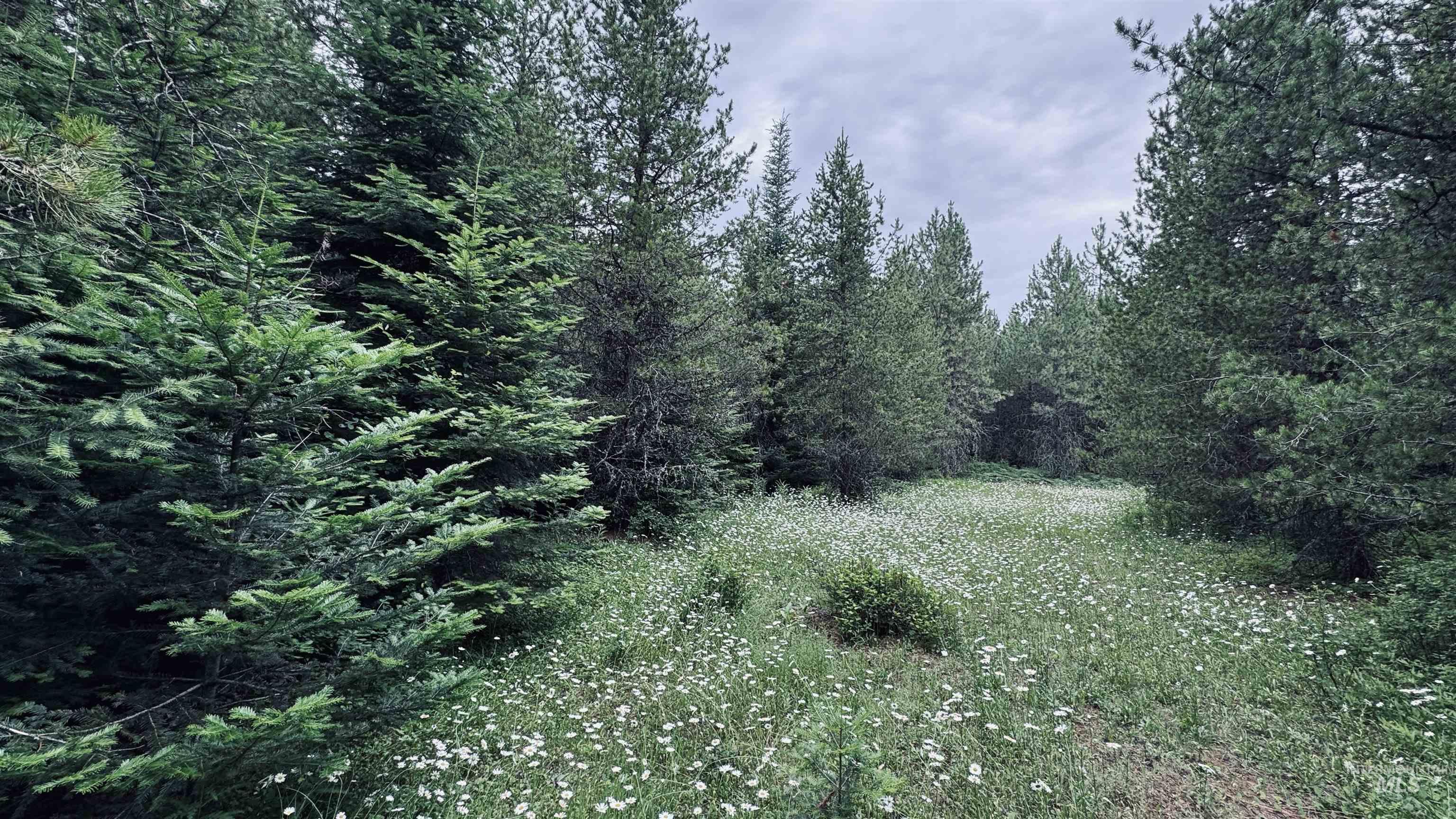 58 Bugling Elk Lane, Weippe, Idaho 83553, Land For Sale, Price $85,000, 98992987