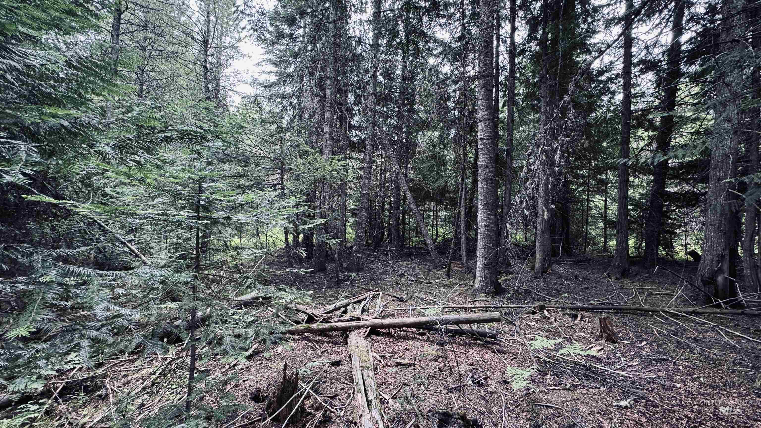 58 Bugling Elk Lane, Weippe, Idaho 83553, Land For Sale, Price $85,000, 98992987