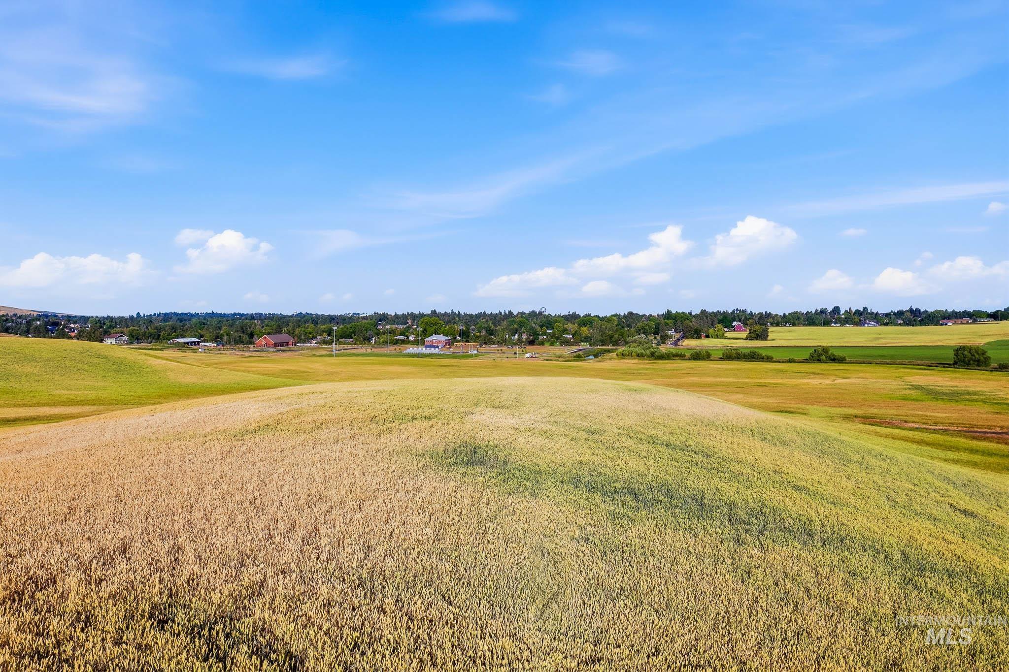 TBD N Mountain View Road, Moscow, Idaho 83843, Land For Sale, Price $545,000, 98993003