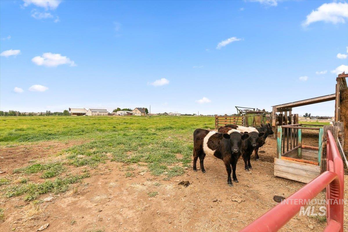 6255 Bennett Rd., Nampa, Idaho 83686, 3 Bedrooms, 3 Bathrooms, Residential For Sale, Price $1,275,000,MLS 98993021
