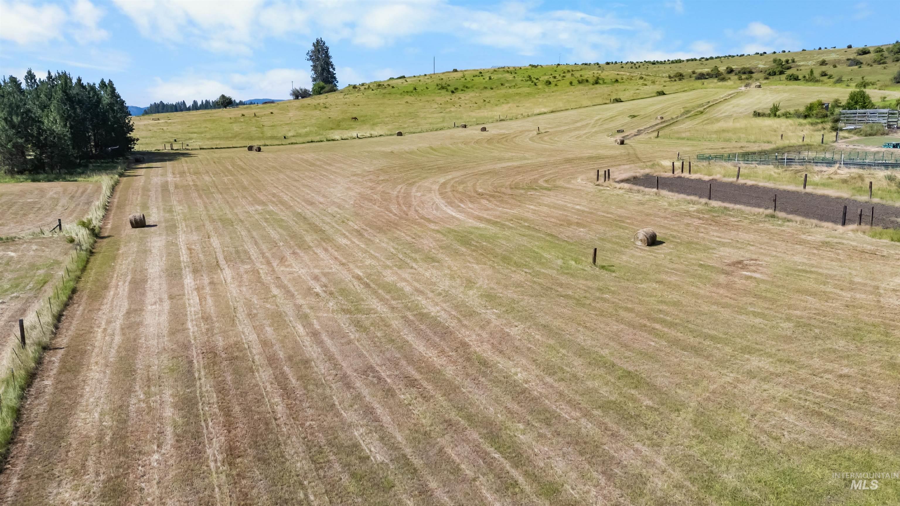 137 Brotnov Road, Clearwater, Idaho 83552, 2 Bedrooms, 2 Bathrooms, Residential For Sale, Price $499,000,MLS 98993058