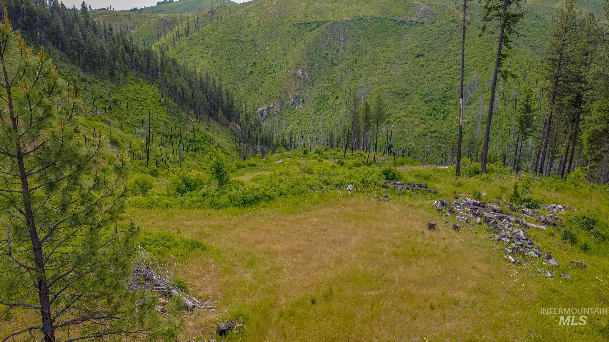 312 Hidden Valley Lane, Weippe, Idaho 83553, Land For Sale, Price $200,000, 98993067