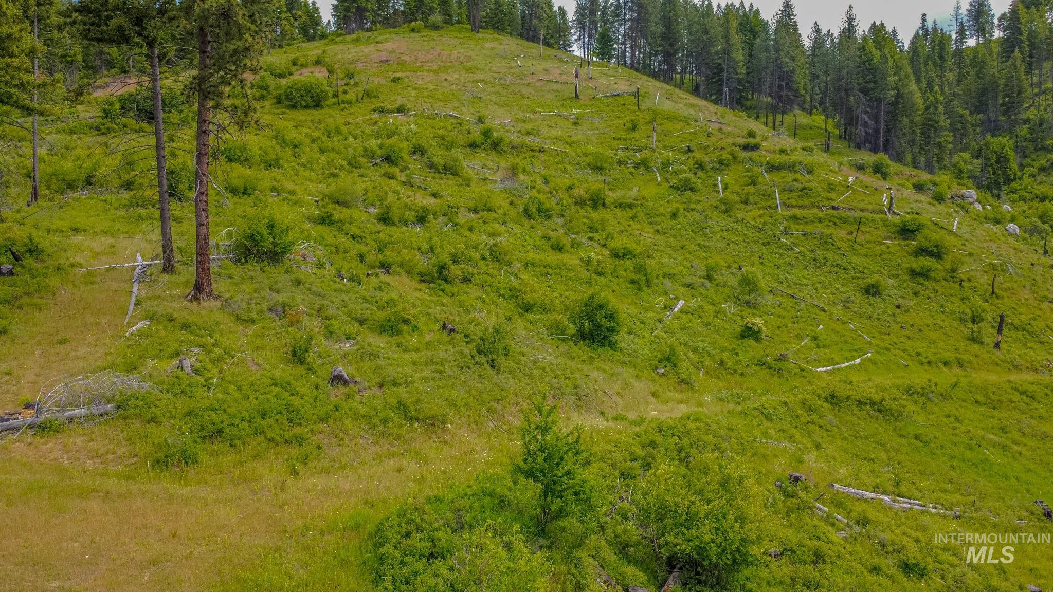 312 Hidden Valley Lane, Weippe, Idaho 83553, Land For Sale, Price $200,000, 98993067