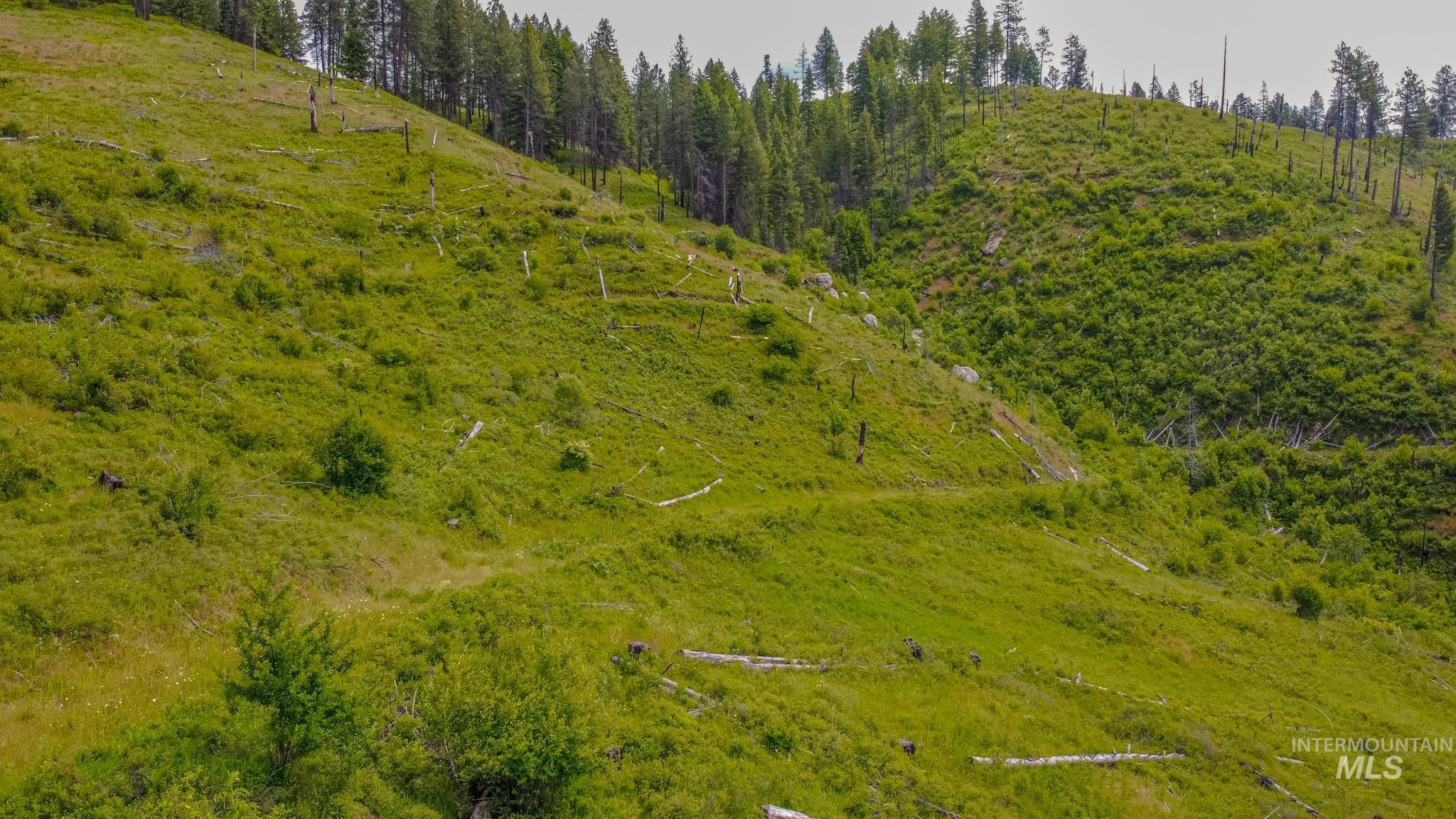 312 Hidden Valley Lane, Weippe, Idaho 83553, Land For Sale, Price $200,000, 98993067