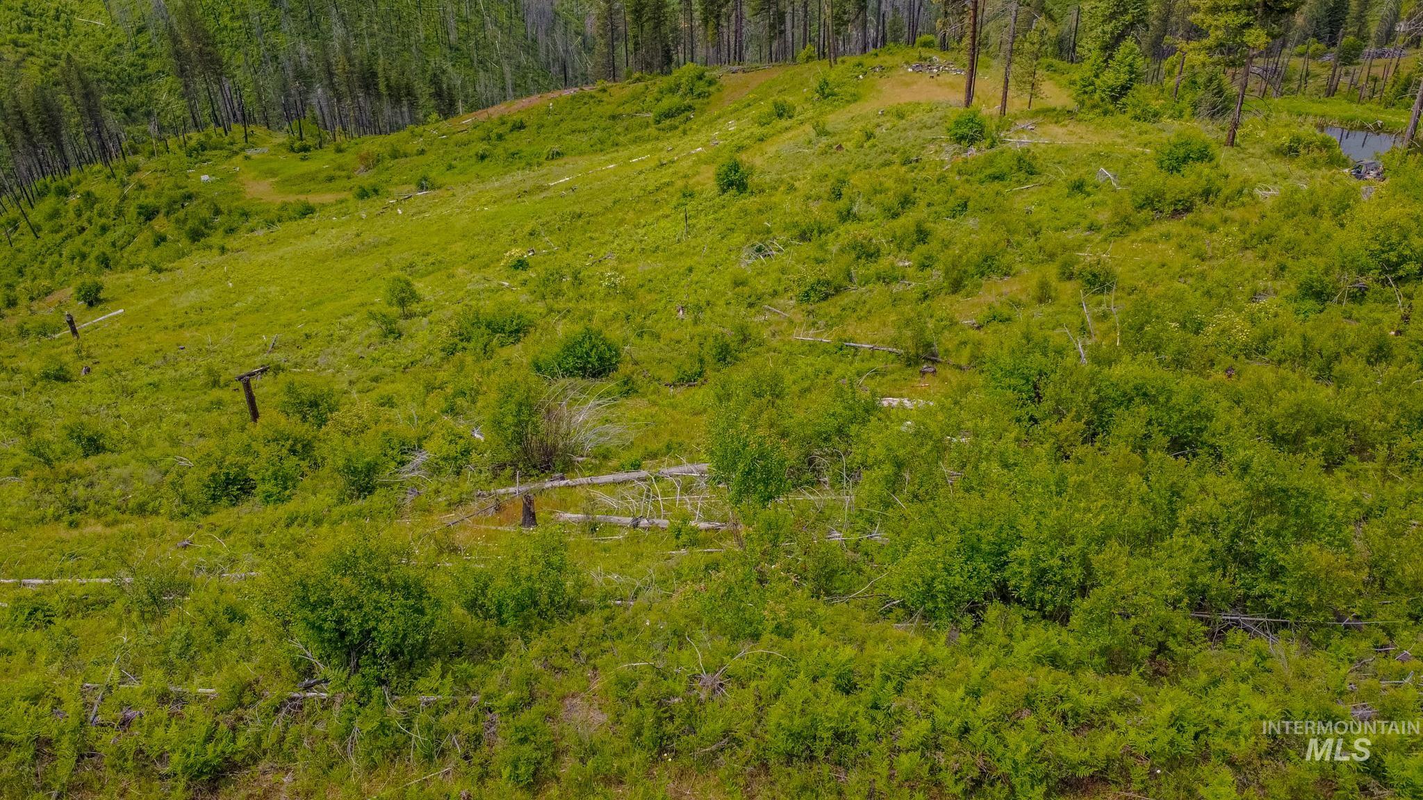 312 Hidden Valley Lane, Weippe, Idaho 83553, Land For Sale, Price $200,000, 98993067