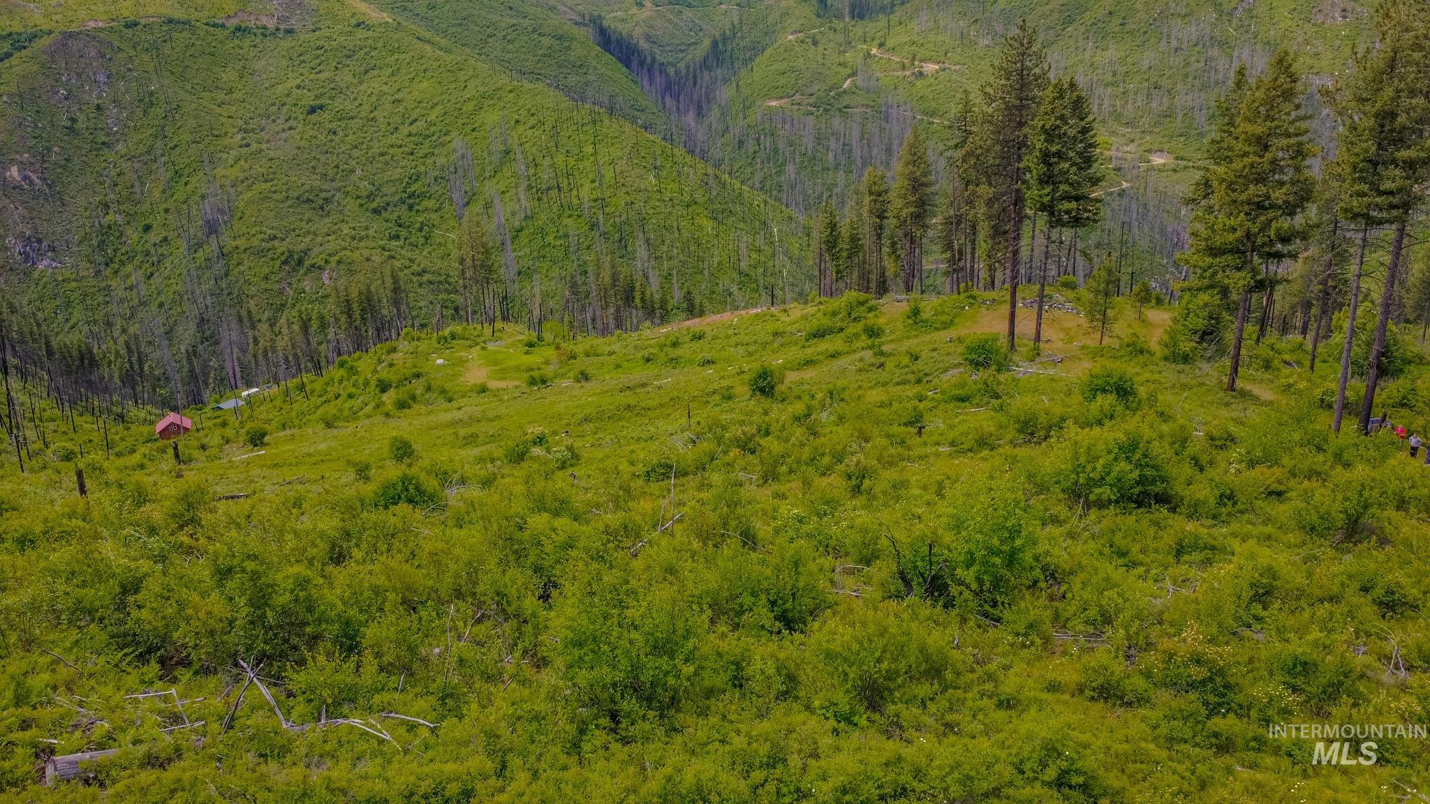 312 Hidden Valley Lane, Weippe, Idaho 83553, Land For Sale, Price $200,000, 98993067