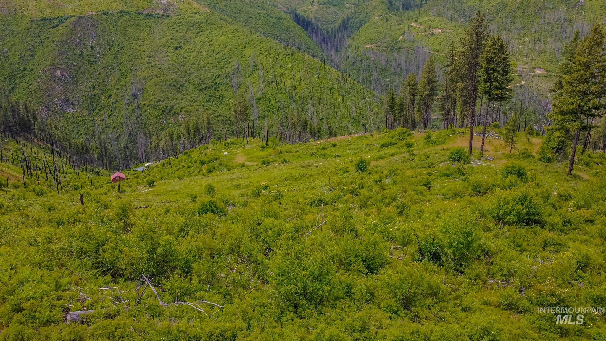312 Hidden Valley Lane, Weippe, Idaho 83553, Land For Sale, Price $200,000, 98993067