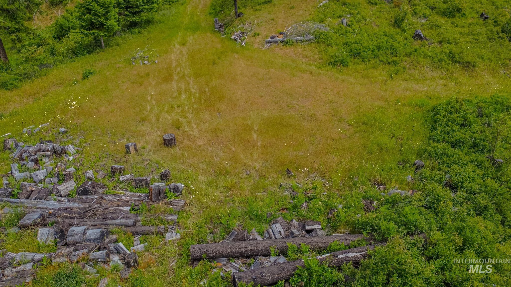 312 Hidden Valley Lane, Weippe, Idaho 83553, Land For Sale, Price $200,000, 98993067