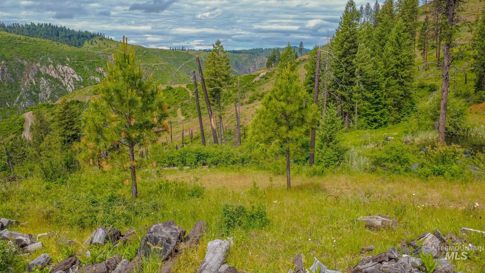 312 Hidden Valley Lane, Weippe, Idaho 83553, Land For Sale, Price $200,000, 98993067