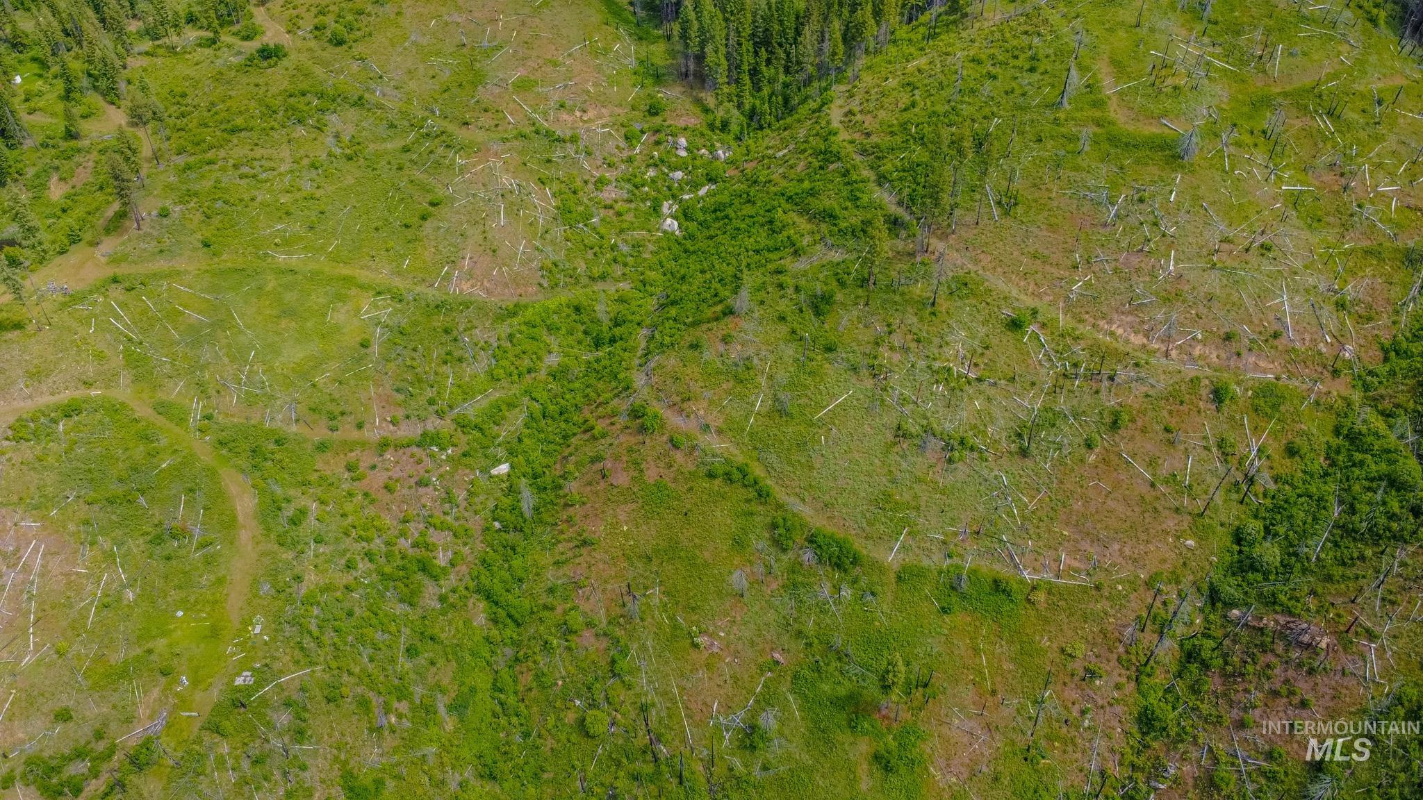 312 Hidden Valley Lane, Weippe, Idaho 83553, Land For Sale, Price $200,000, 98993067