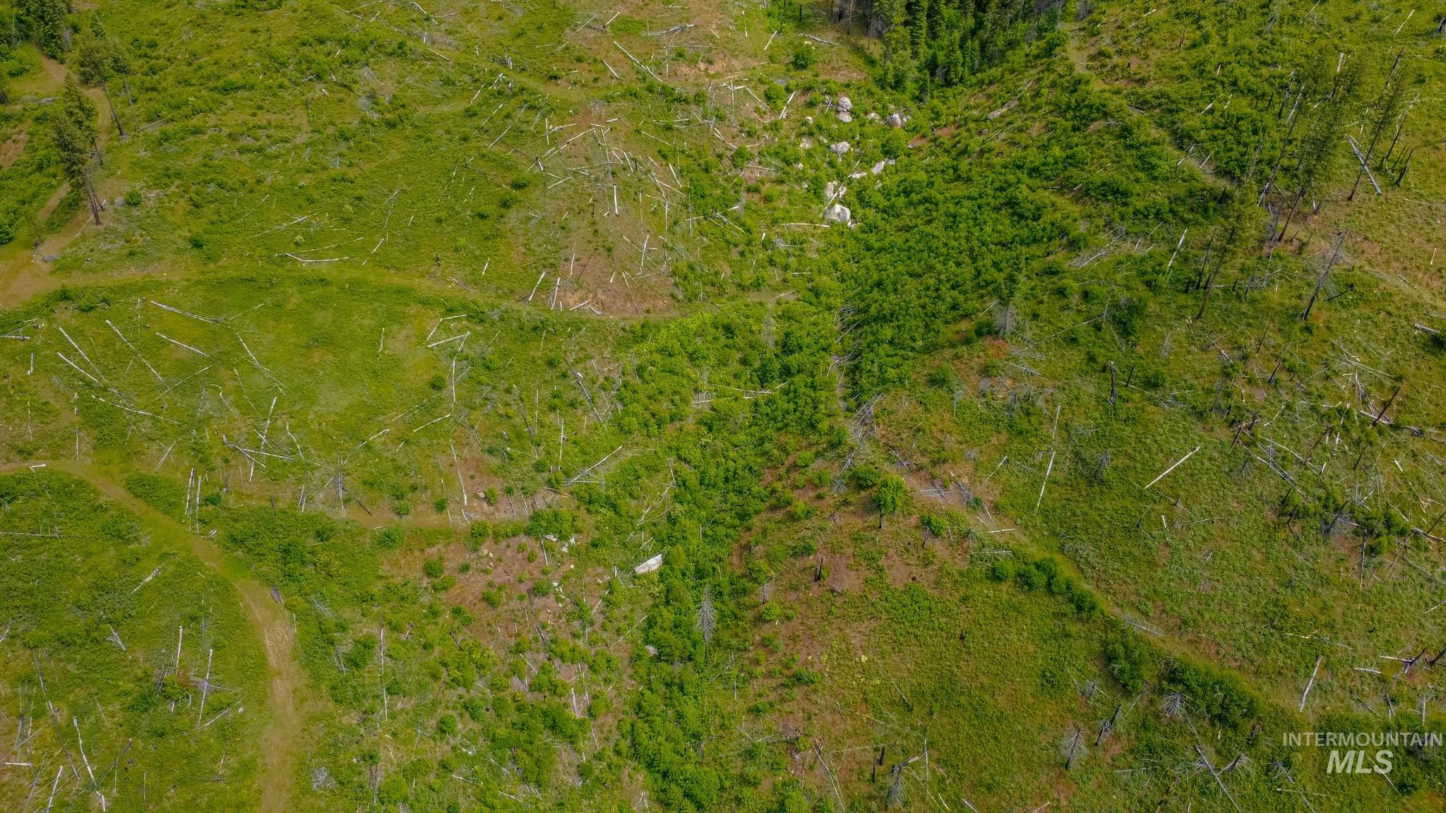 312 Hidden Valley Lane, Weippe, Idaho 83553, Land For Sale, Price $200,000, 98993067