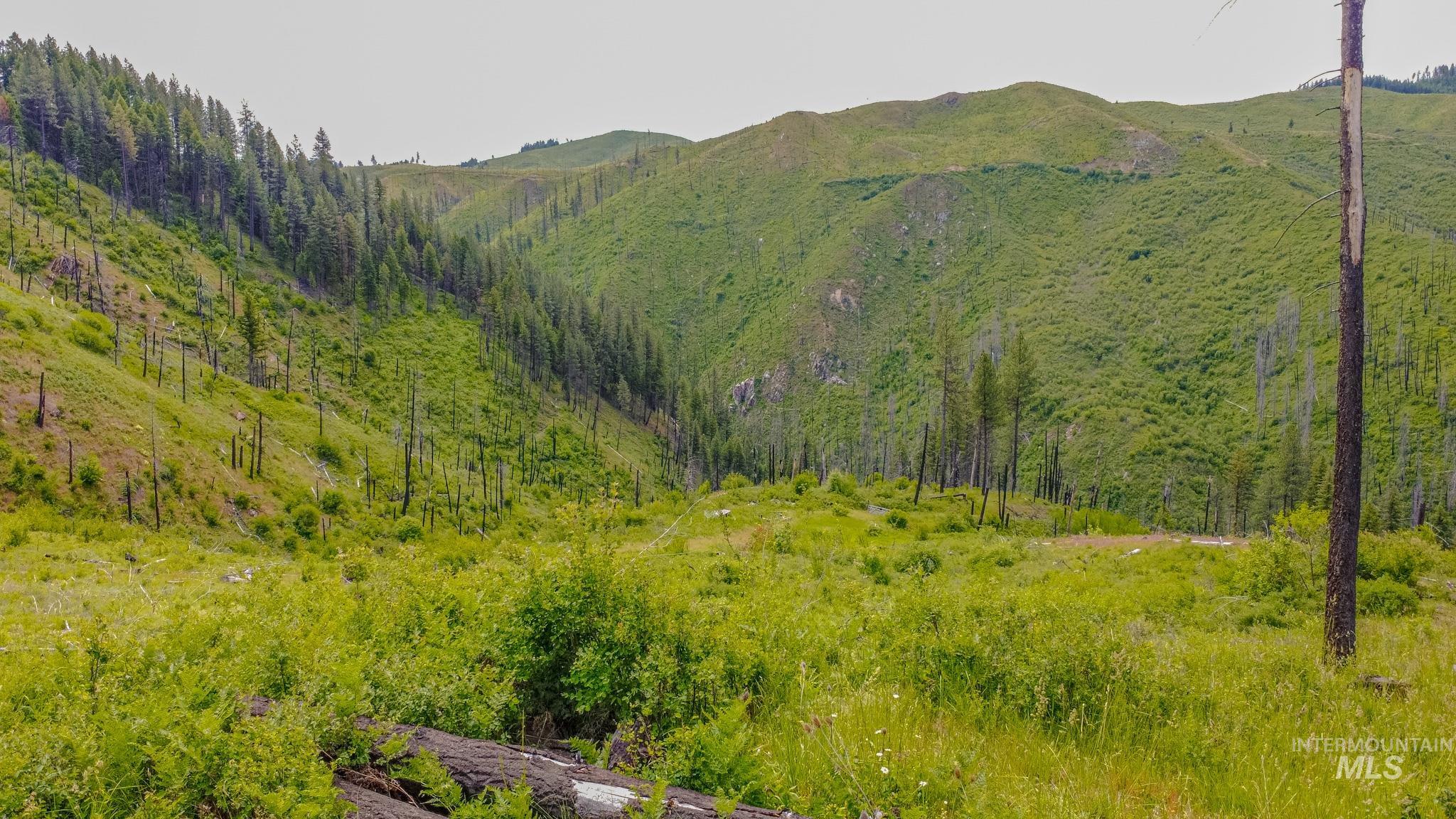 312 Hidden Valley Lane, Weippe, Idaho 83553, Land For Sale, Price $200,000, 98993067