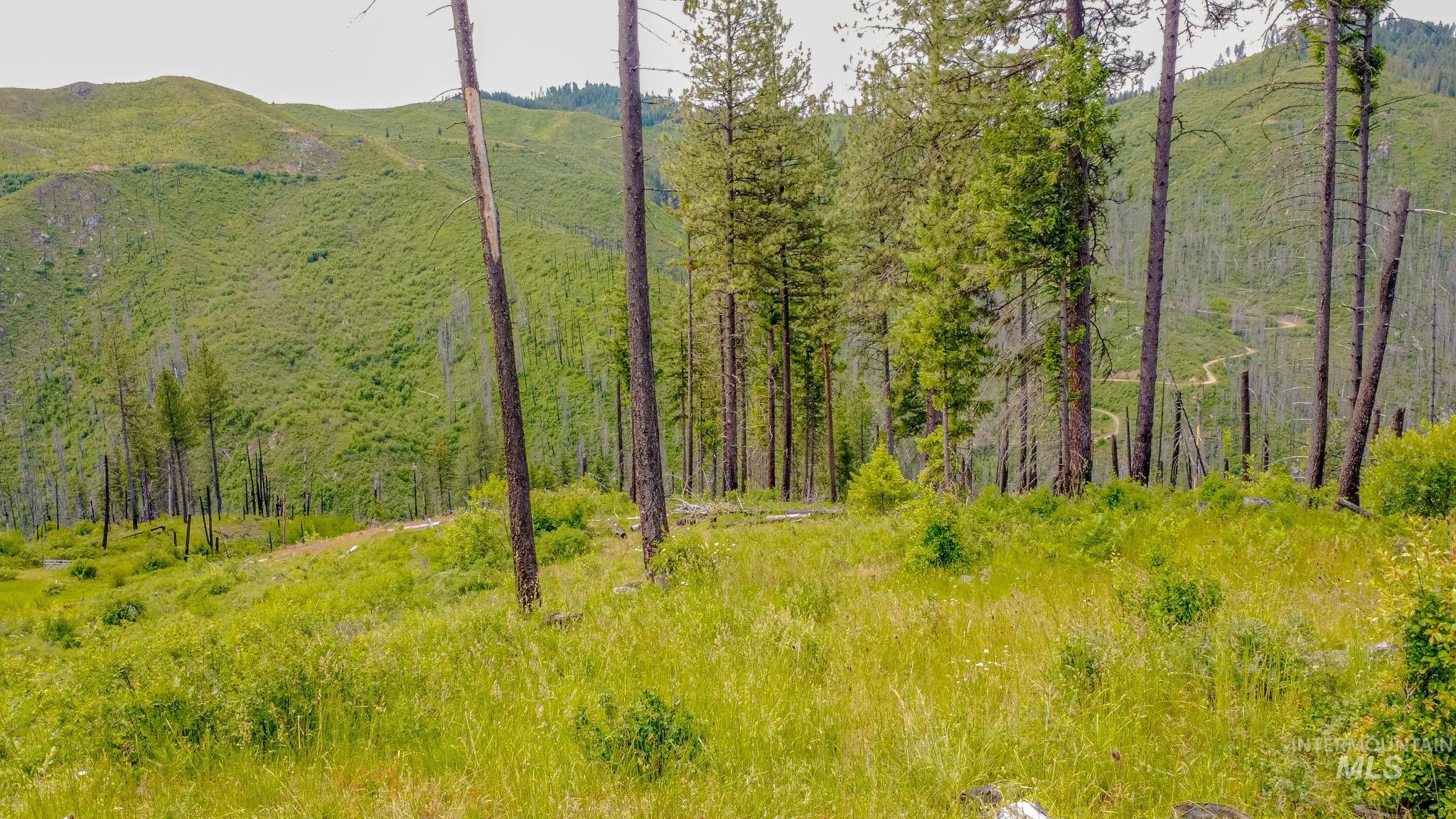 312 Hidden Valley Lane, Weippe, Idaho 83553, Land For Sale, Price $200,000, 98993067