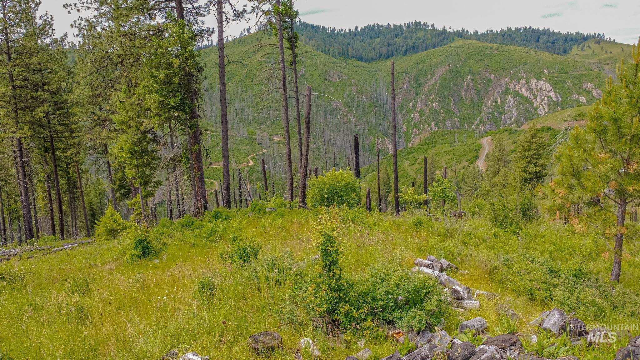 312 Hidden Valley Lane, Weippe, Idaho 83553, Land For Sale, Price $200,000, 98993067