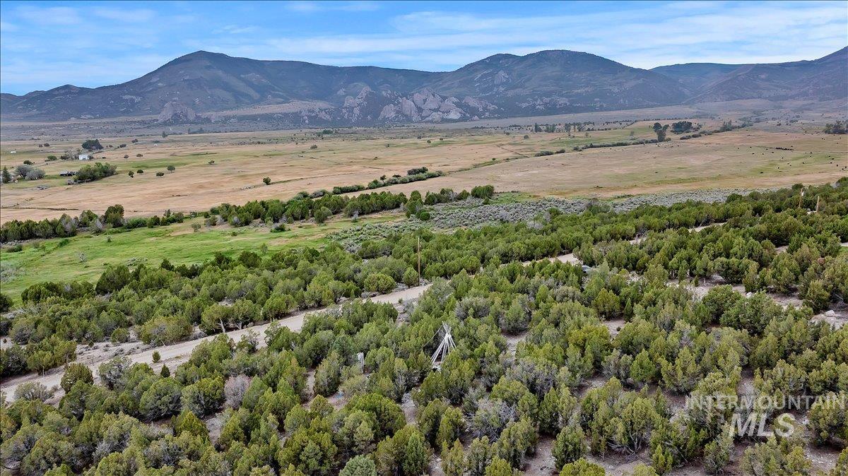 TBD TBD, Almo, Idaho 83312, Land For Sale, Price $300,000, 98993085